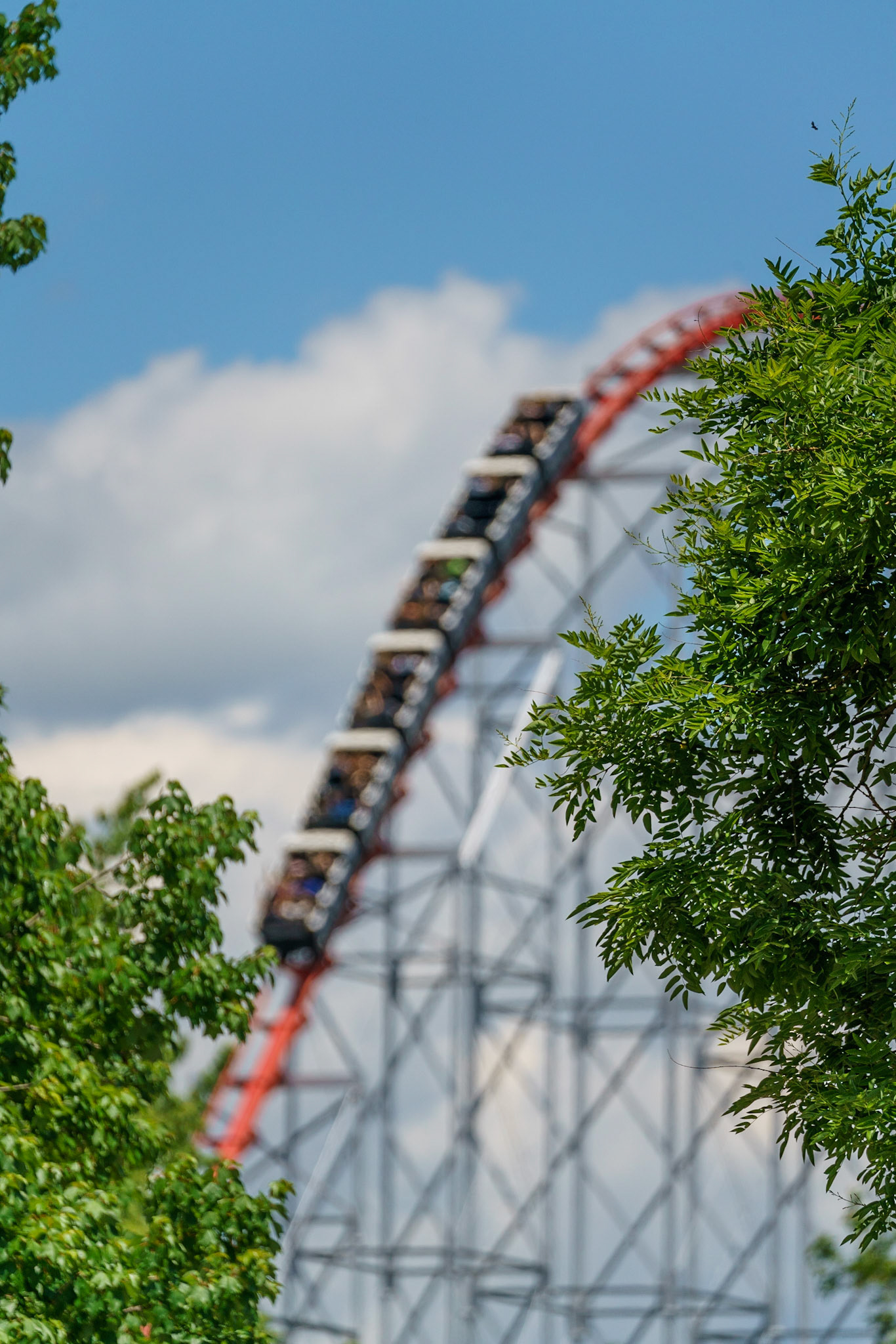 Photo by Jon Roost (www.jonroostphotos.com)