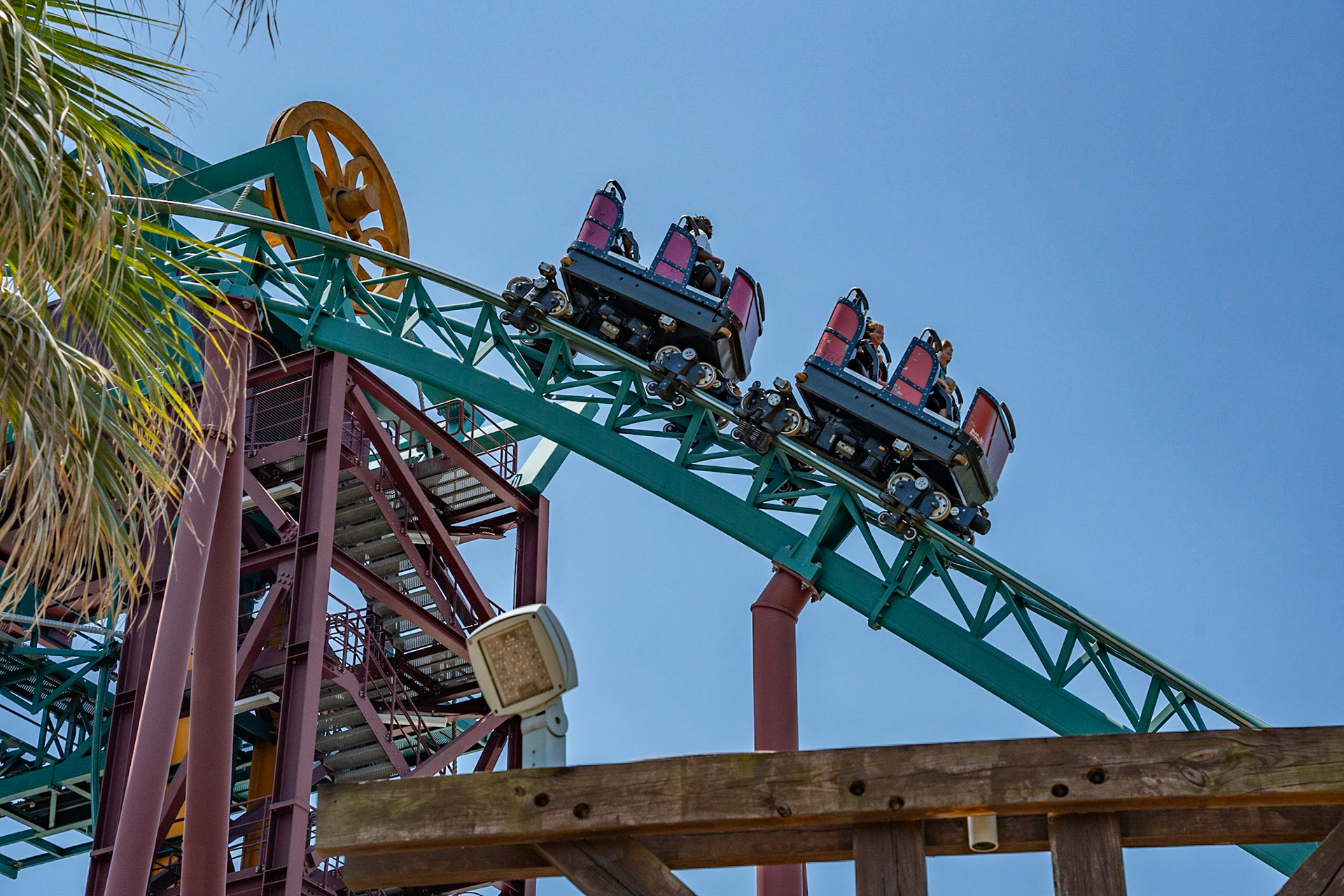 Photo by Jon Roost (www.jonroostphotos.com)