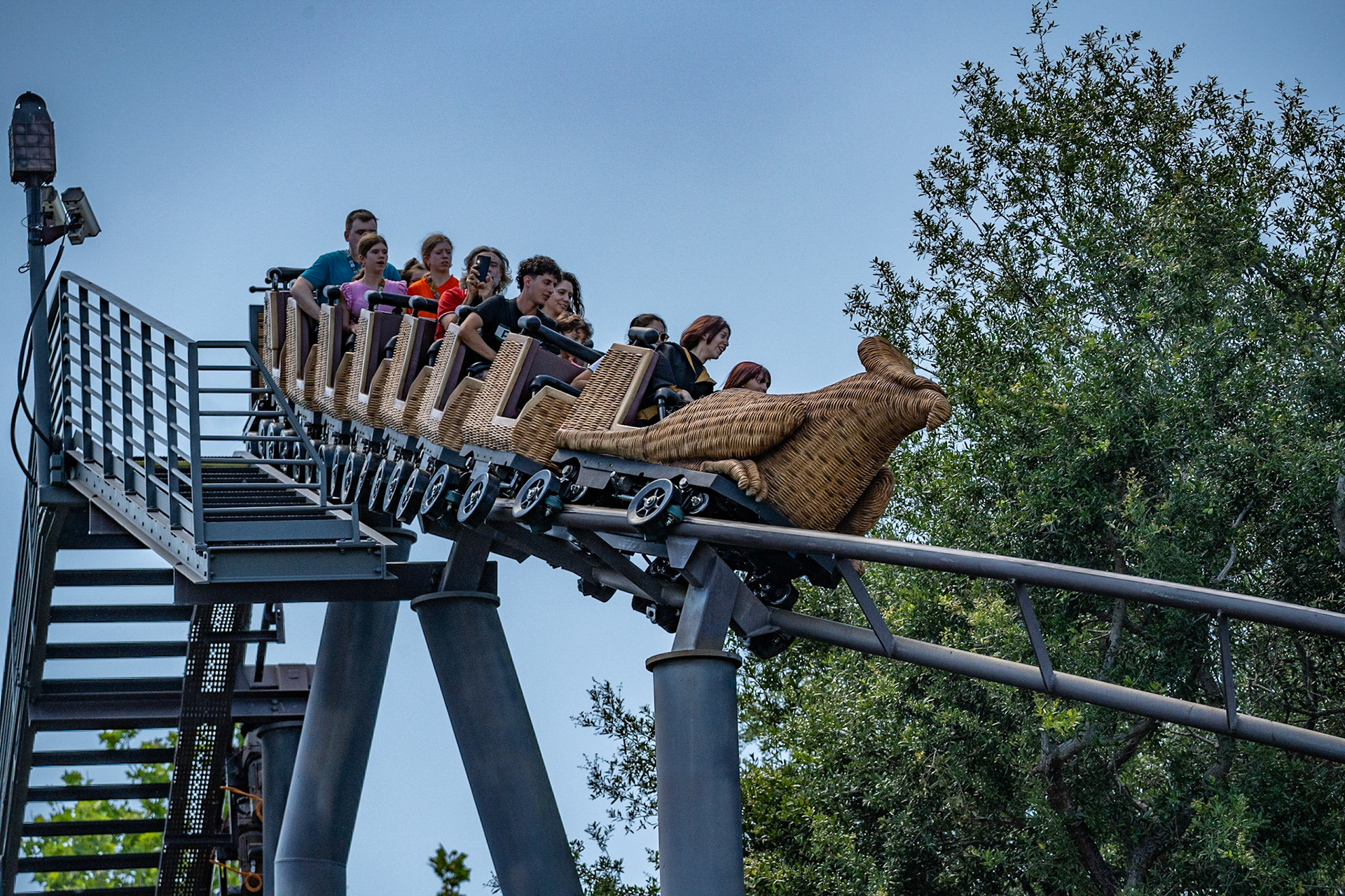 Photo by Jon Roost (www.jonroostphotos.com)