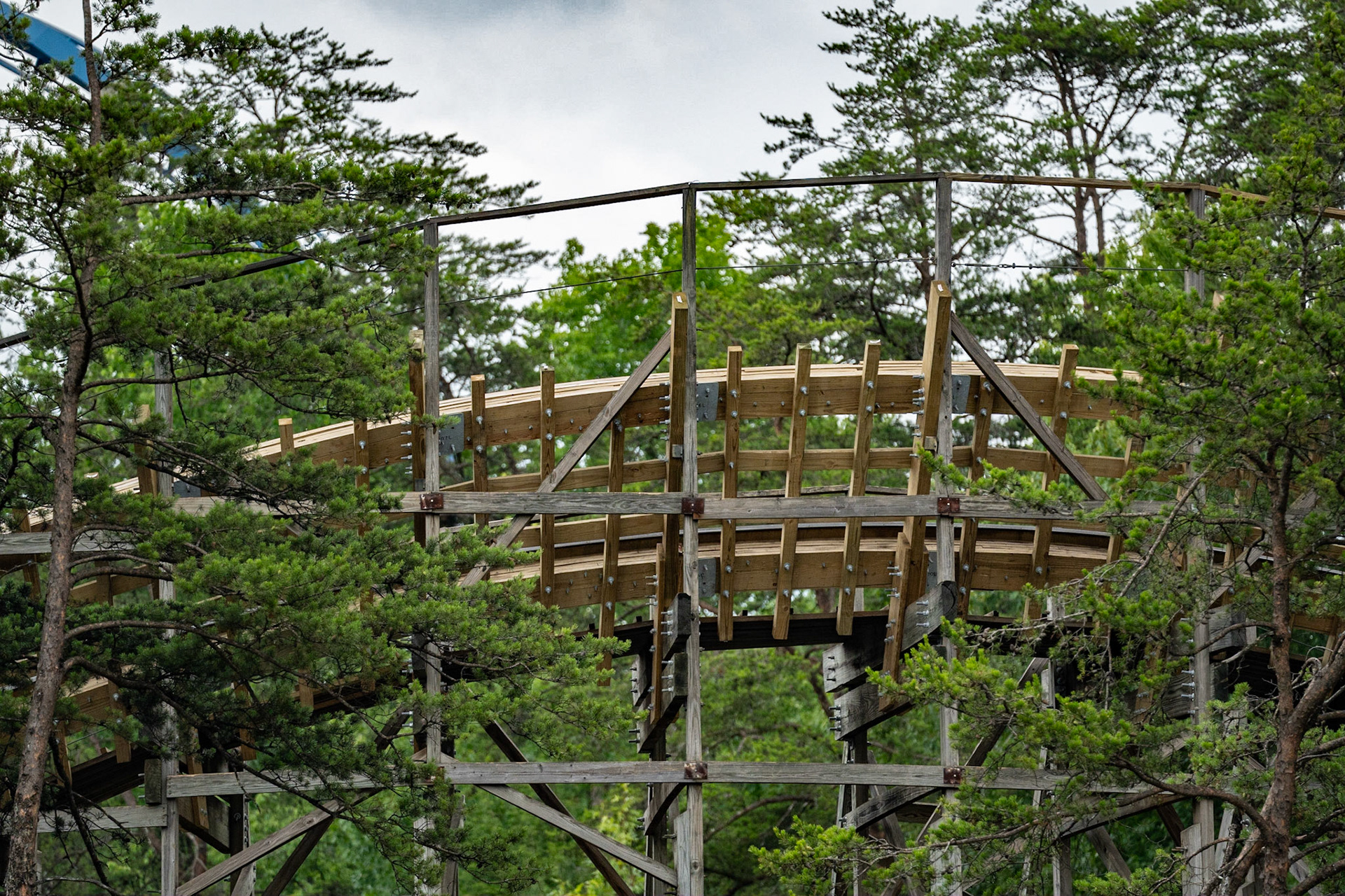 Photo by Jon Roost (www.jonroostphotos.com)