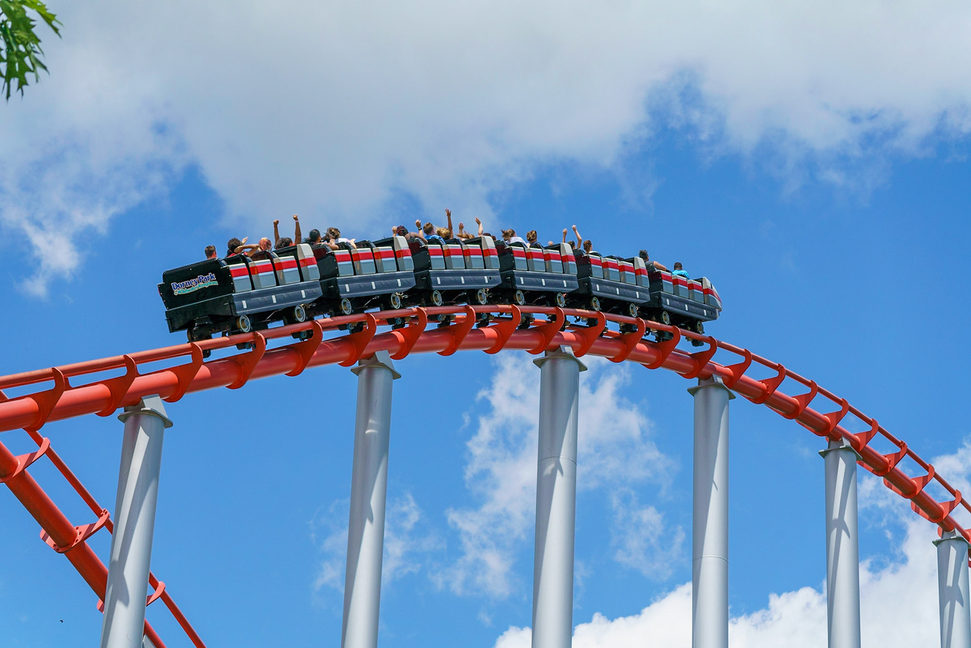 Photo by Jon Roost (www.jonroostphotos.com)