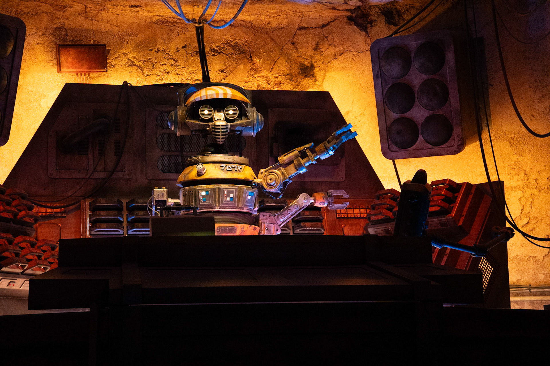 Photo by Jon Roost (www.jonroostphotos.com)