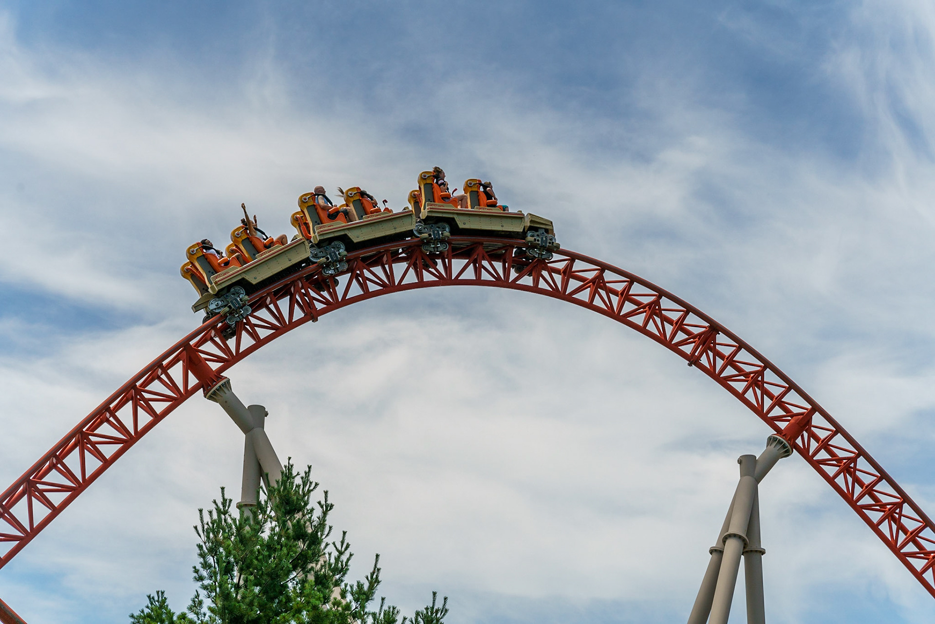 Photo by Jon Roost (www.jonroostphotos.com)