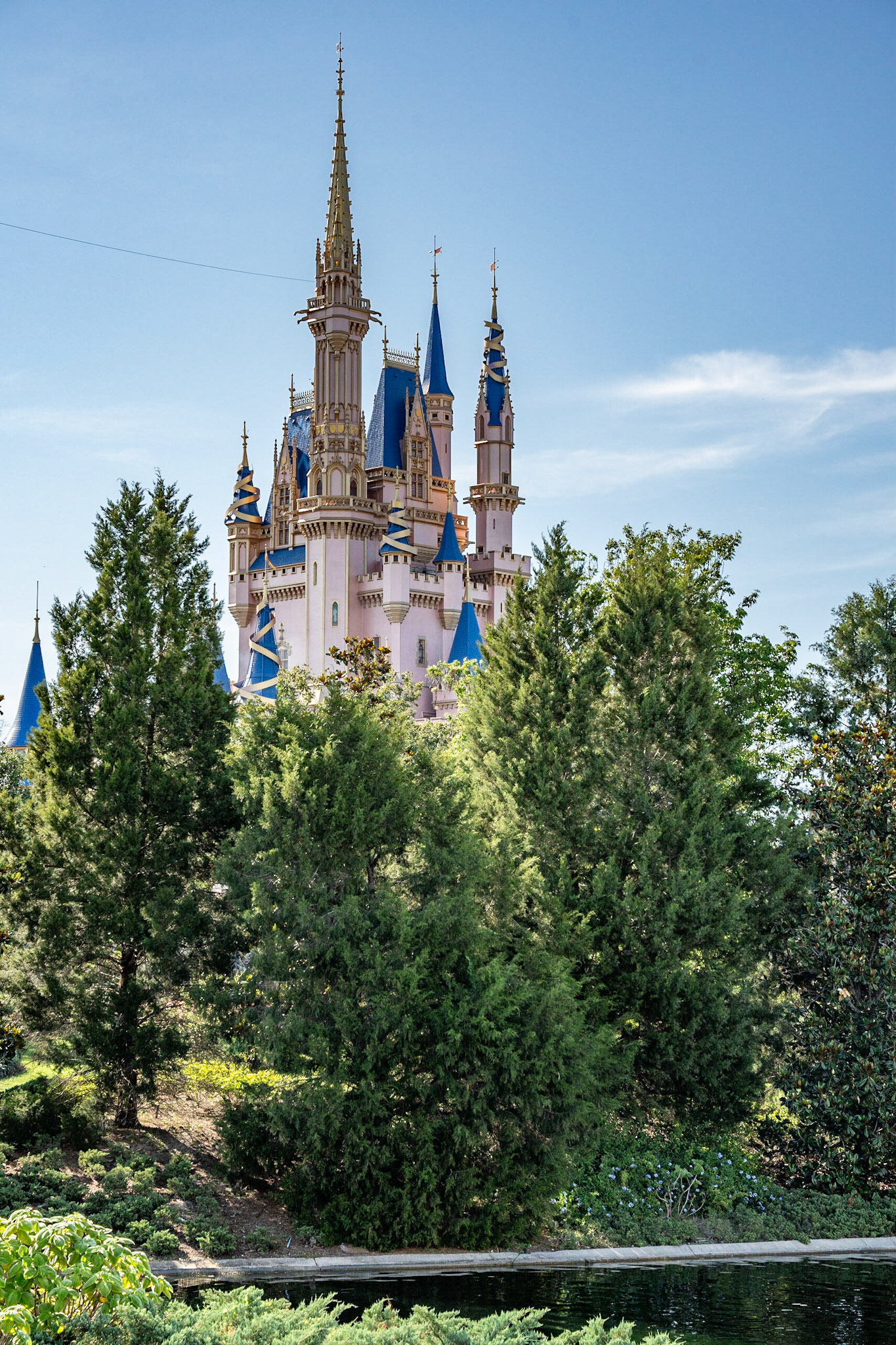 Photo by Jon Roost (www.jonroostphotos.com)