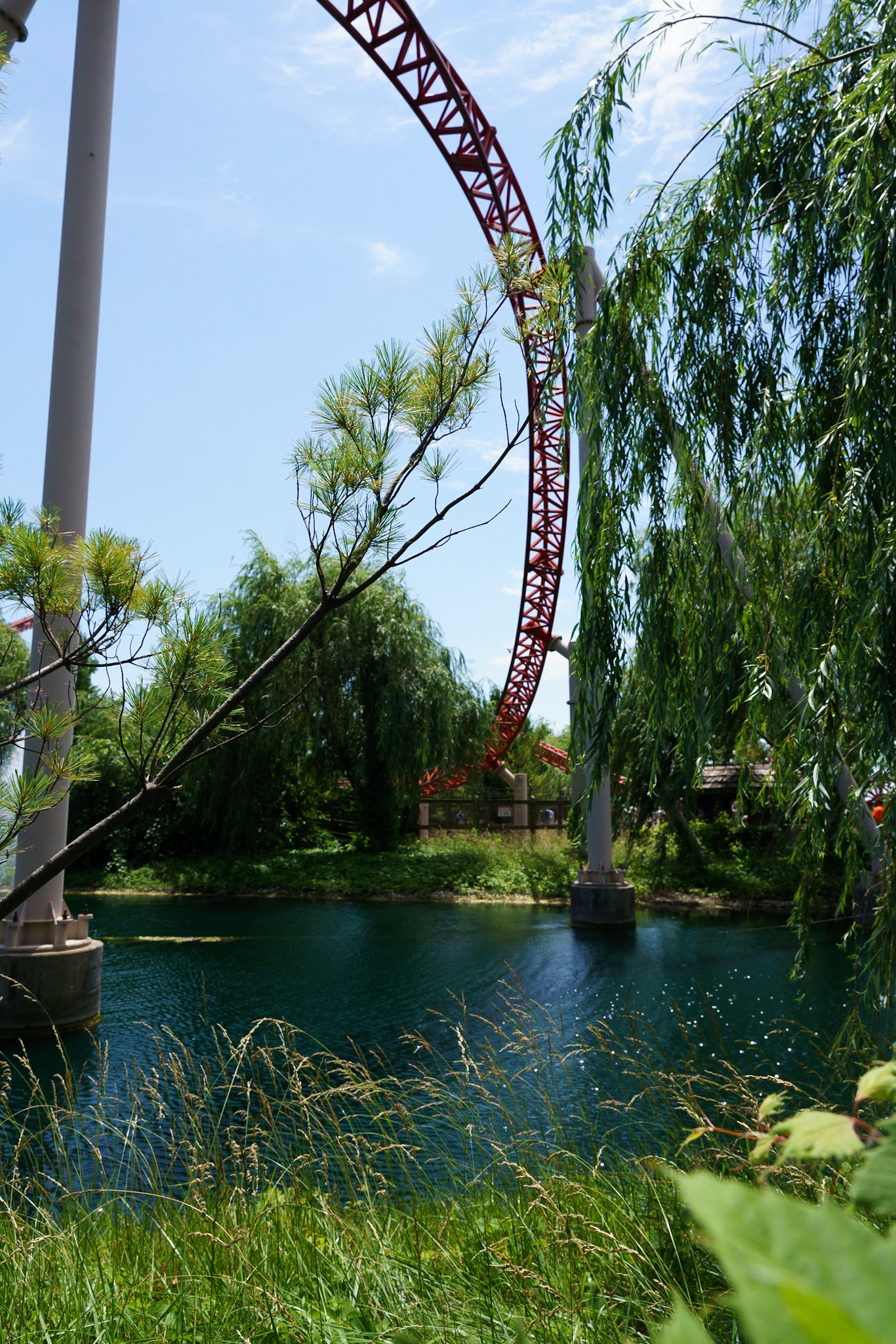 Photo by Jon Roost (www.jonroostphotos.com)