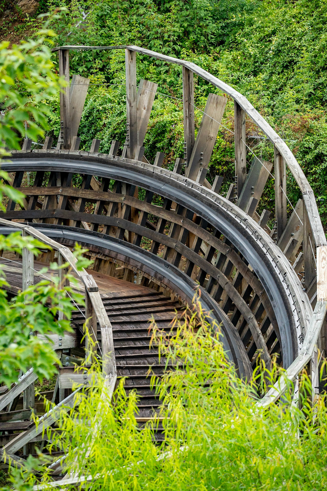 Photo by Jon Roost (www.jonroostphotos.com)