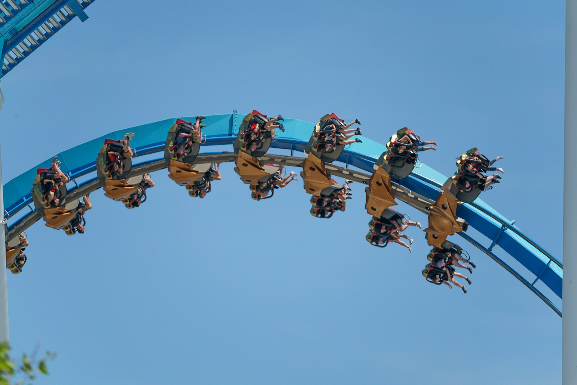 Photo by Jon Roost (www.jonroostphotos.com)