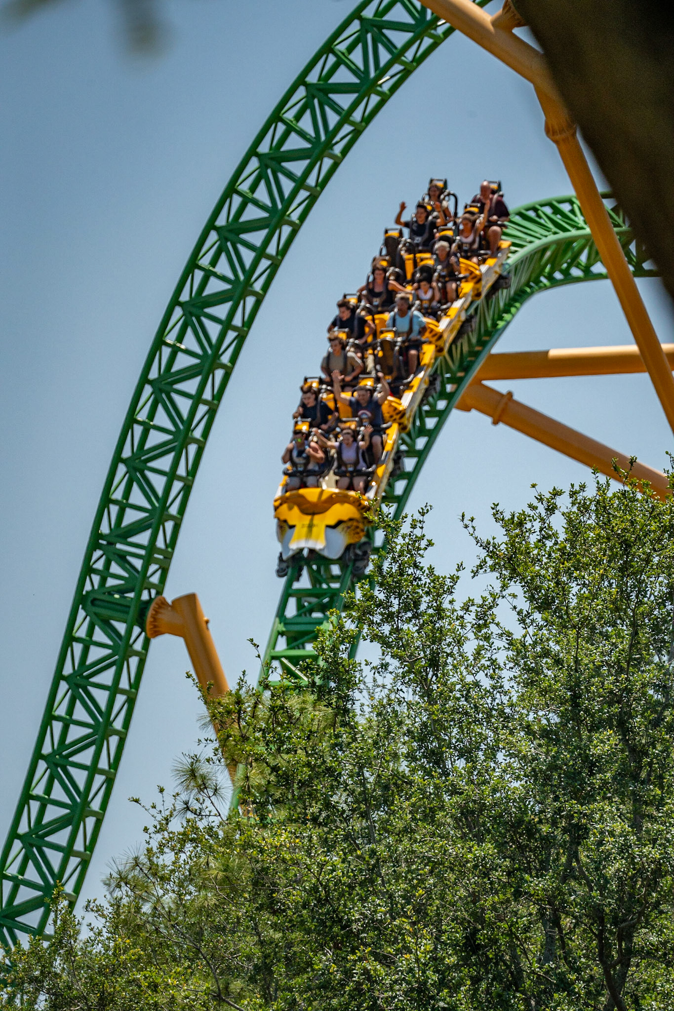 Photo by Jon Roost (www.jonroostphotos.com)