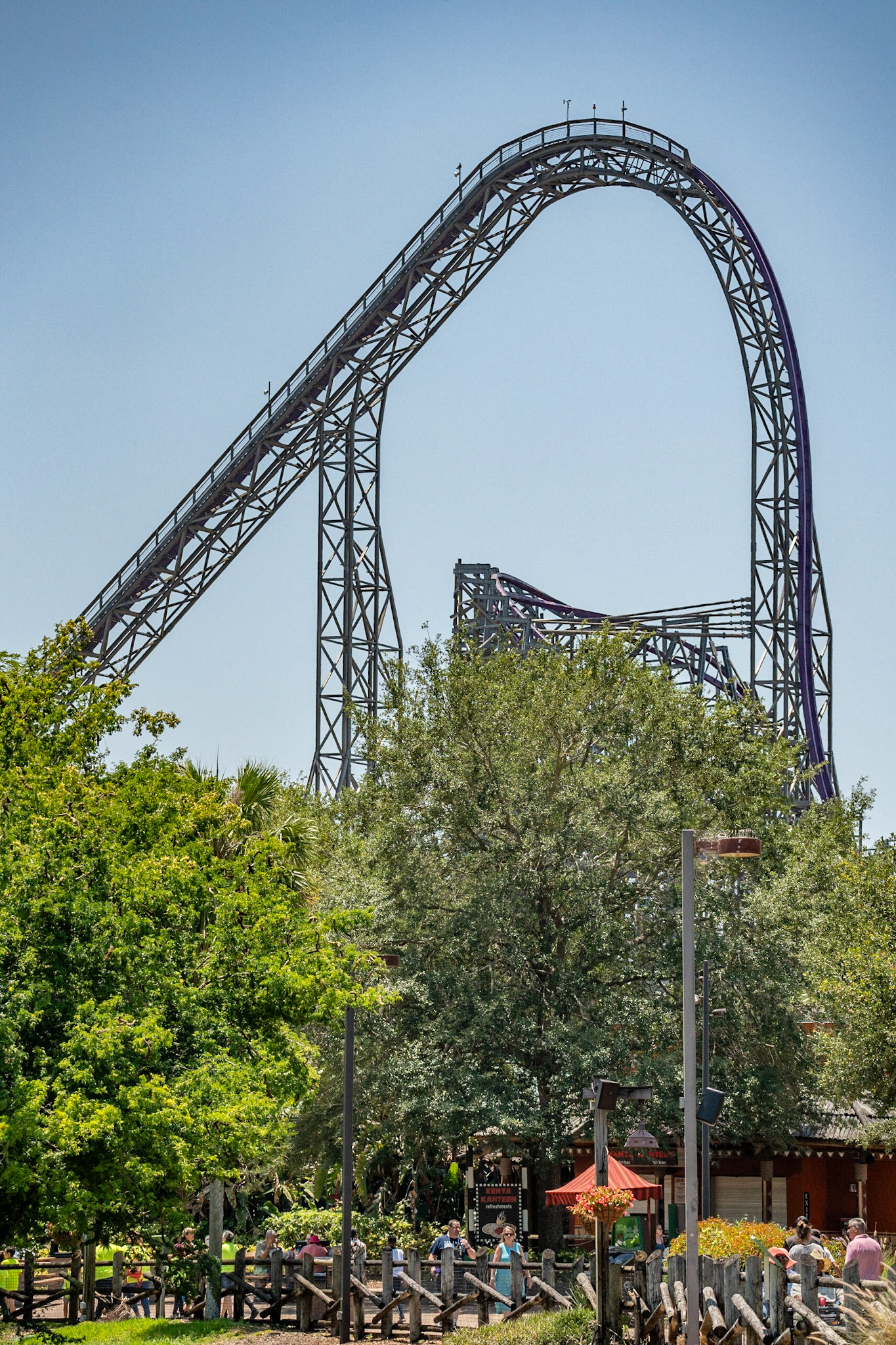 Photo by Jon Roost (www.jonroostphotos.com)