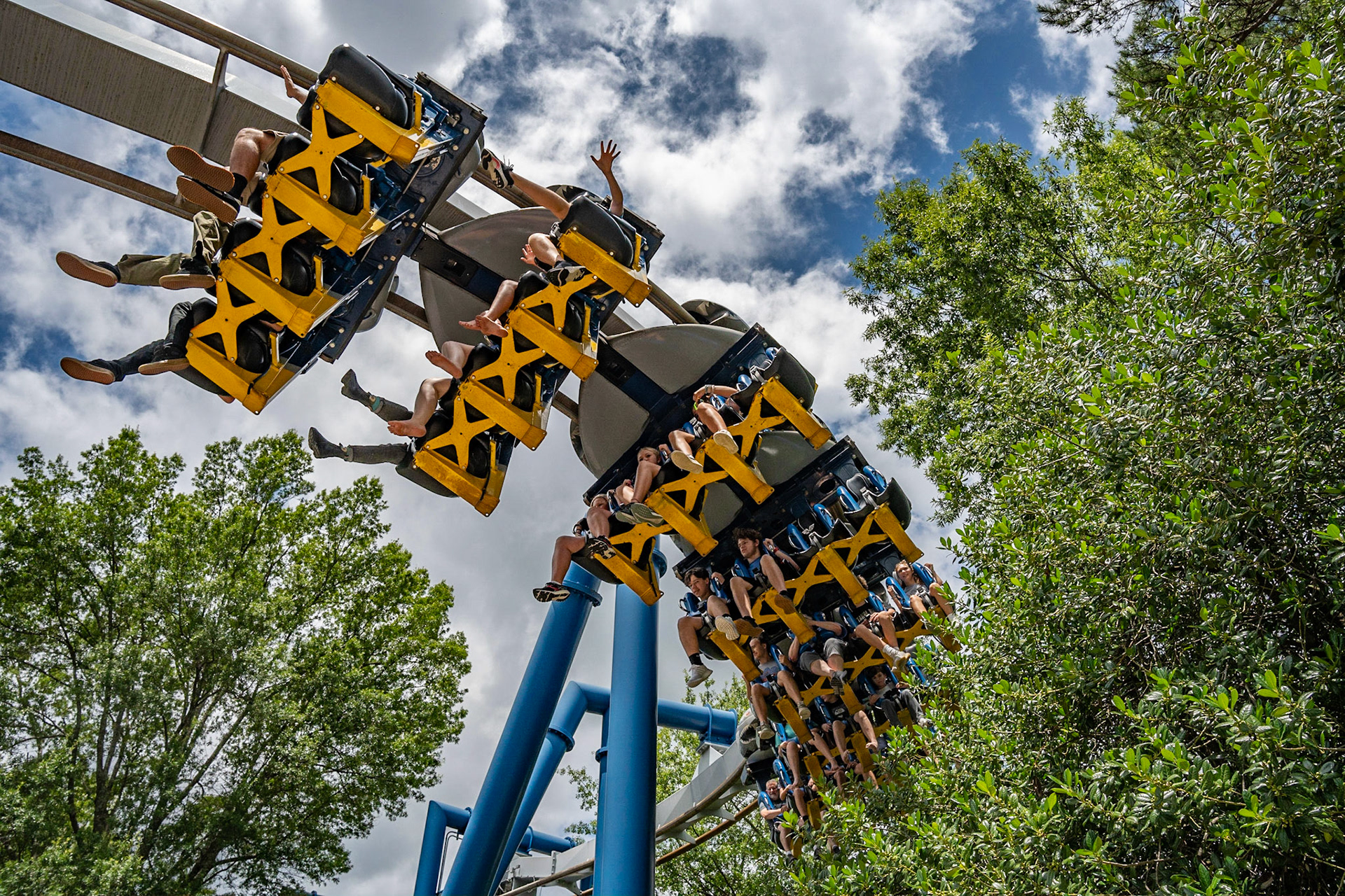 Photo by Jon Roost (www.jonroostphotos.com)