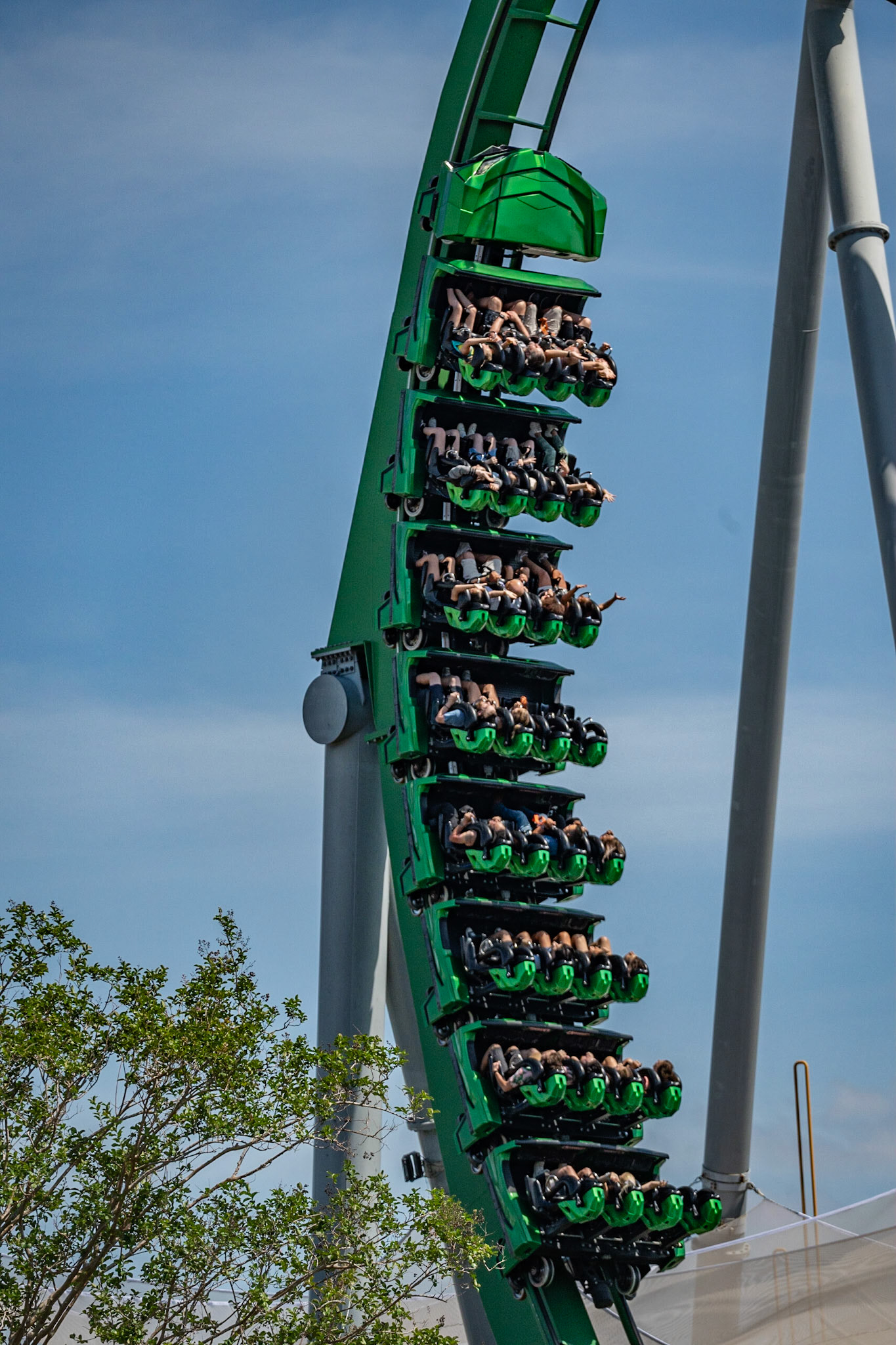 Photo by Jon Roost (www.jonroostphotos.com)