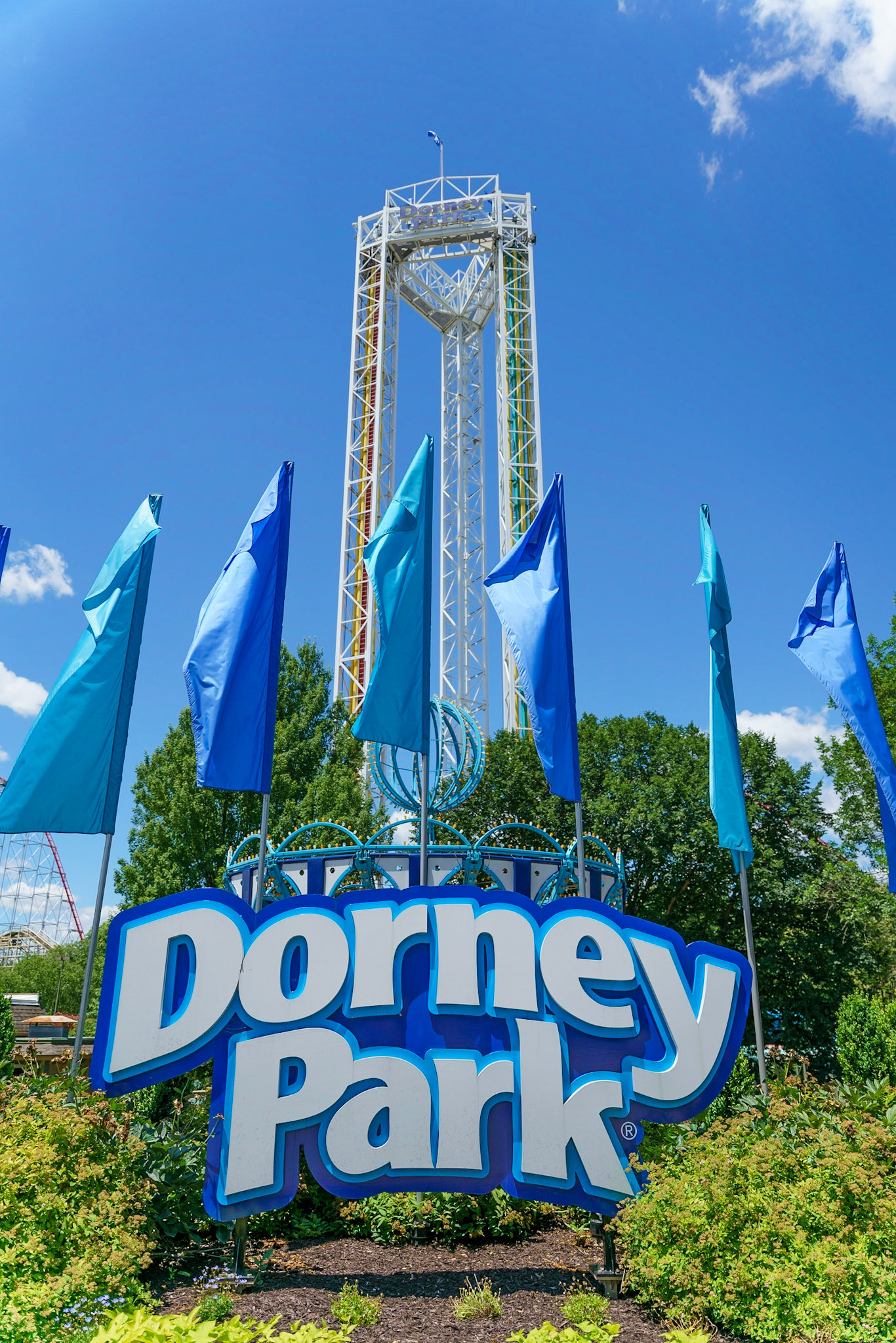 Photo by Jon Roost (www.jonroostphotos.com)