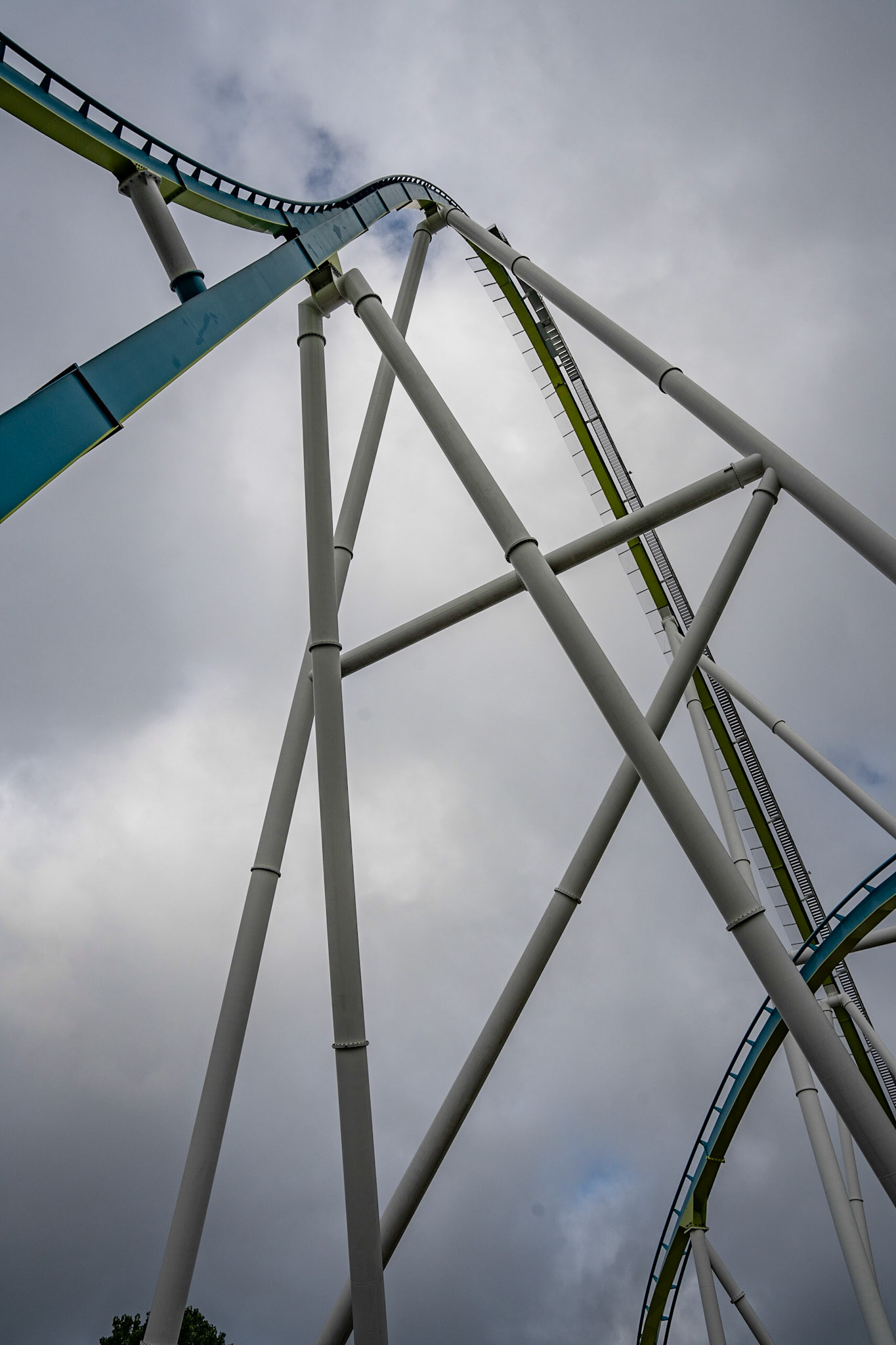 Photo by Jon Roost (www.jonroostphotos.com)