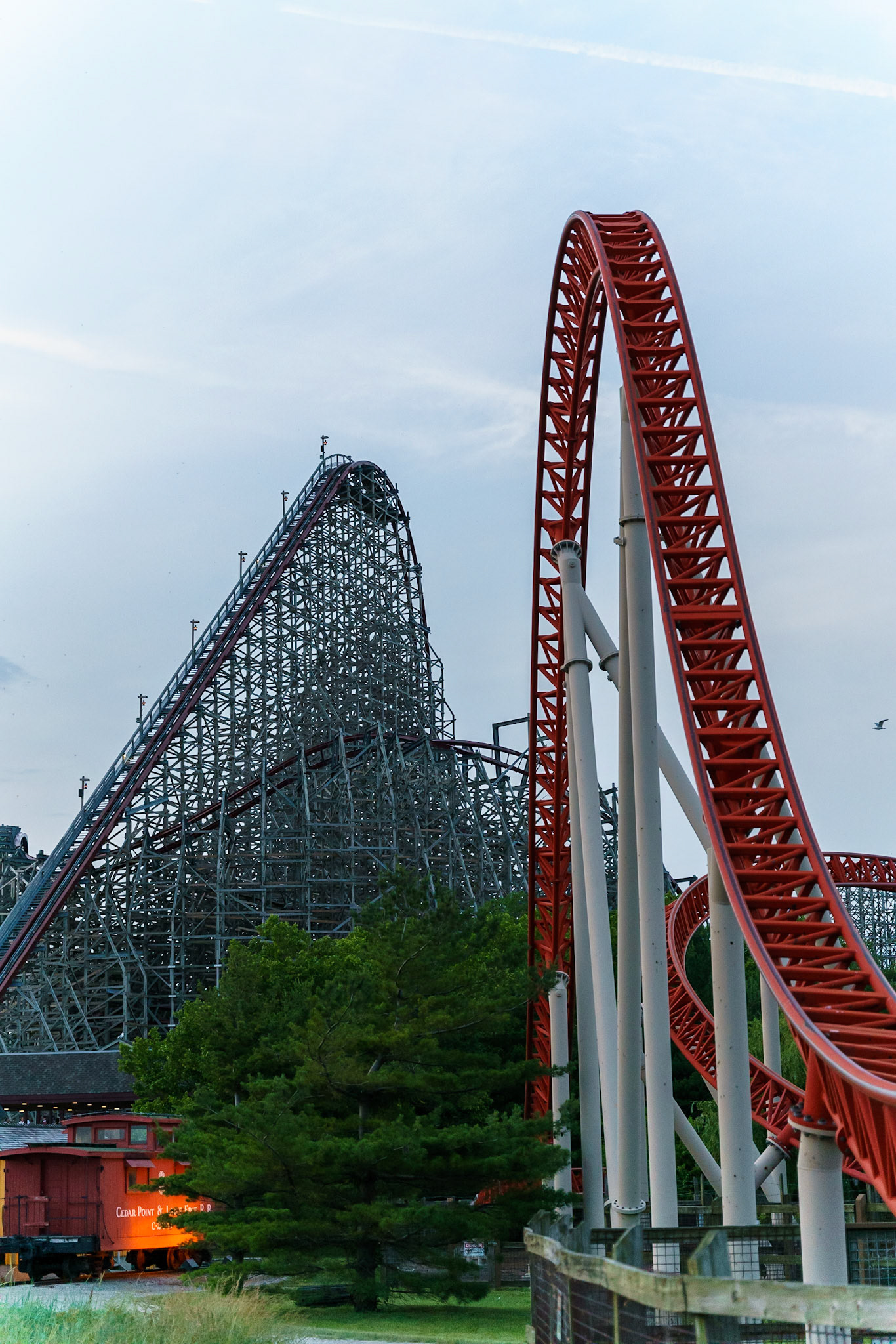 Photo by Jon Roost (www.jonroostphotos.com)