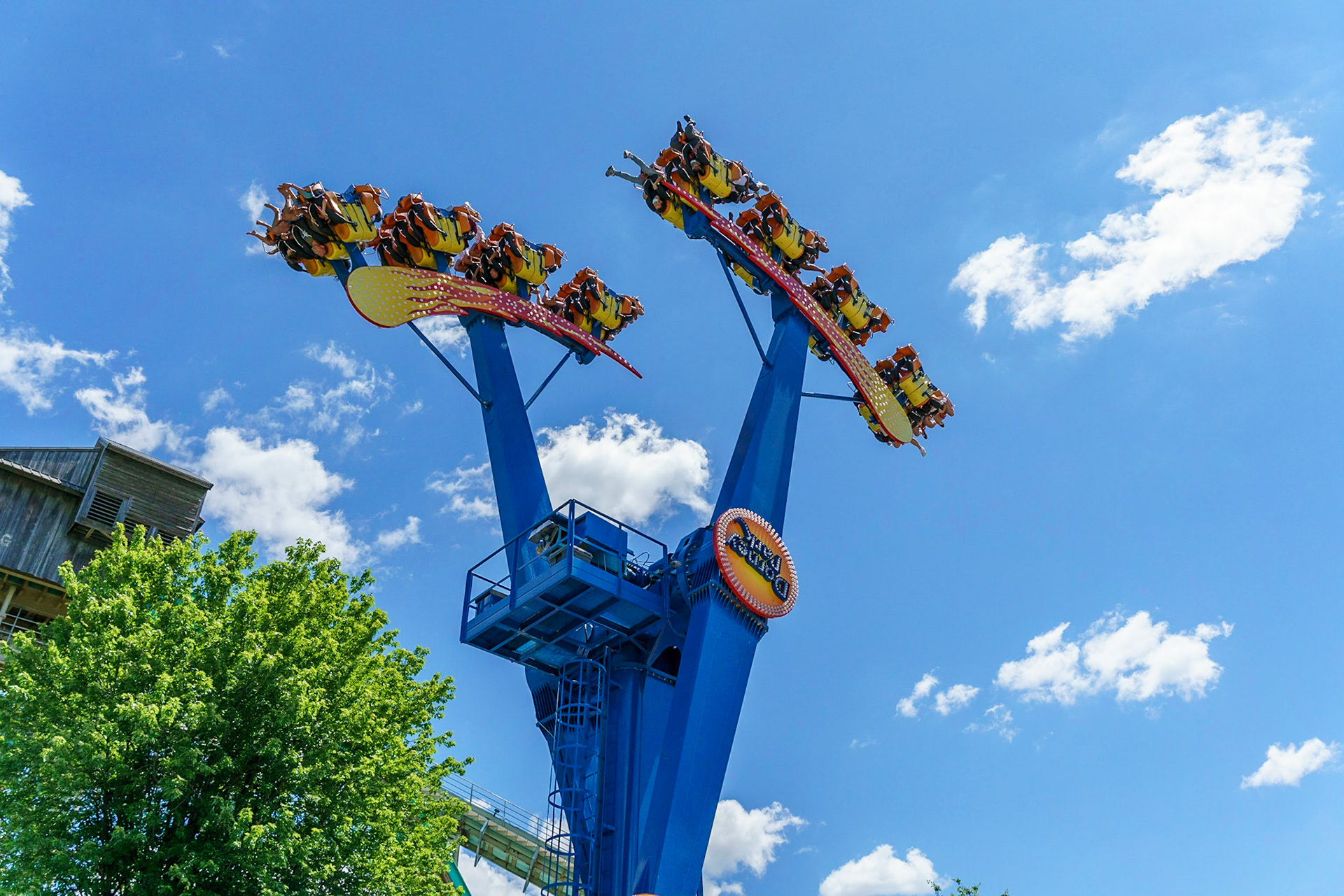 Photo by Jon Roost (www.jonroostphotos.com)