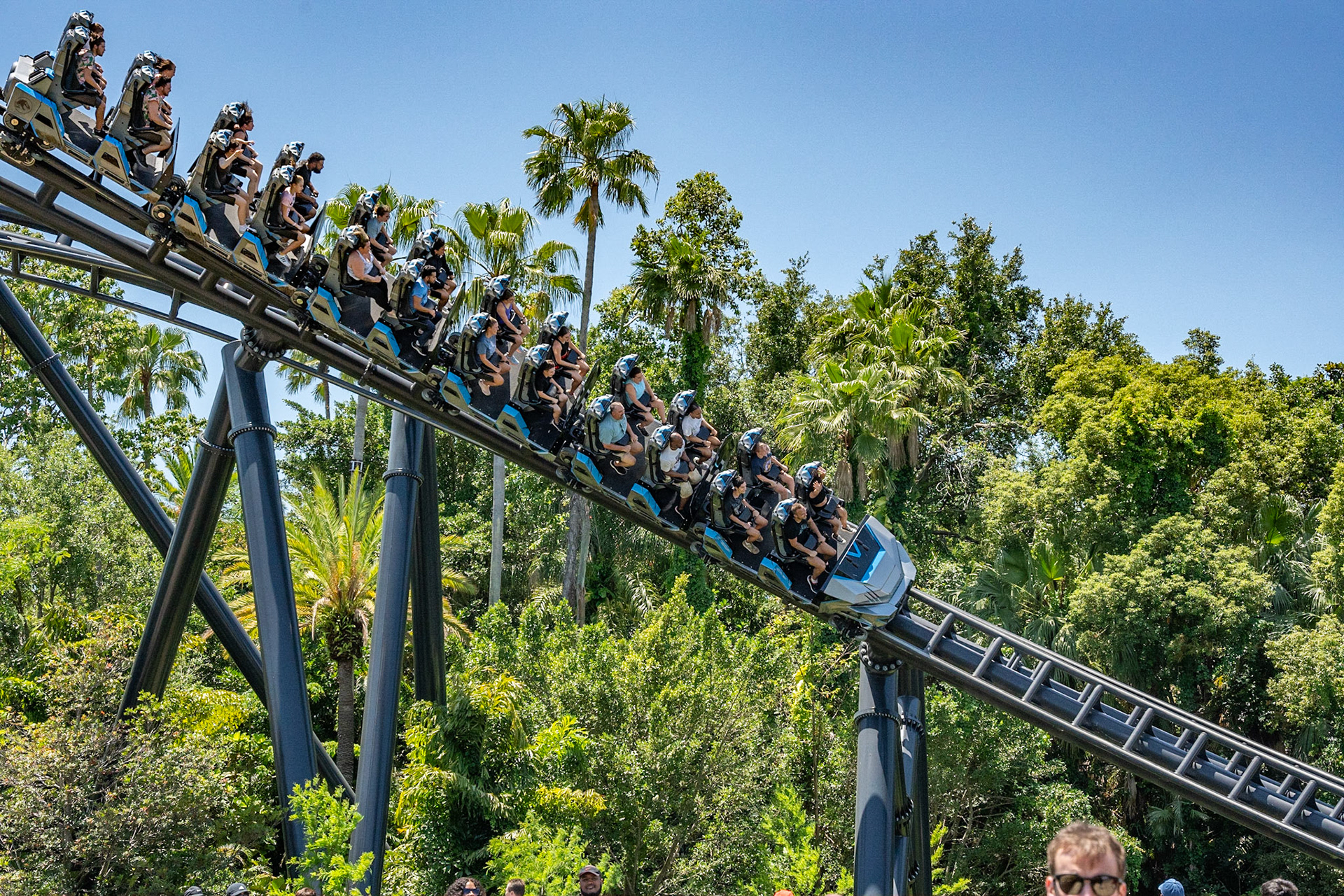 Photo by Jon Roost (www.jonroostphotos.com)