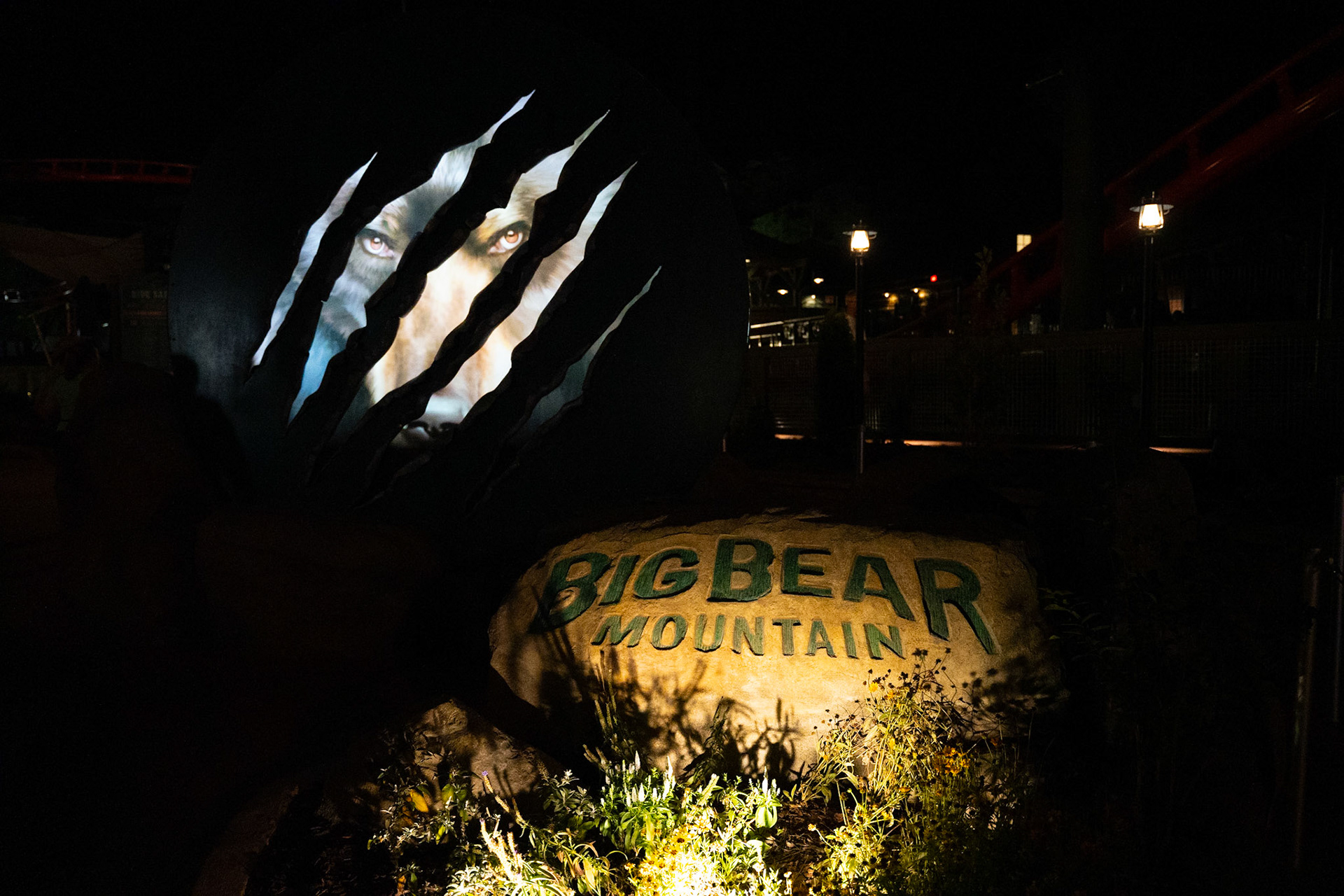 Photo by Jon Roost (www.jonroostphotos.com)