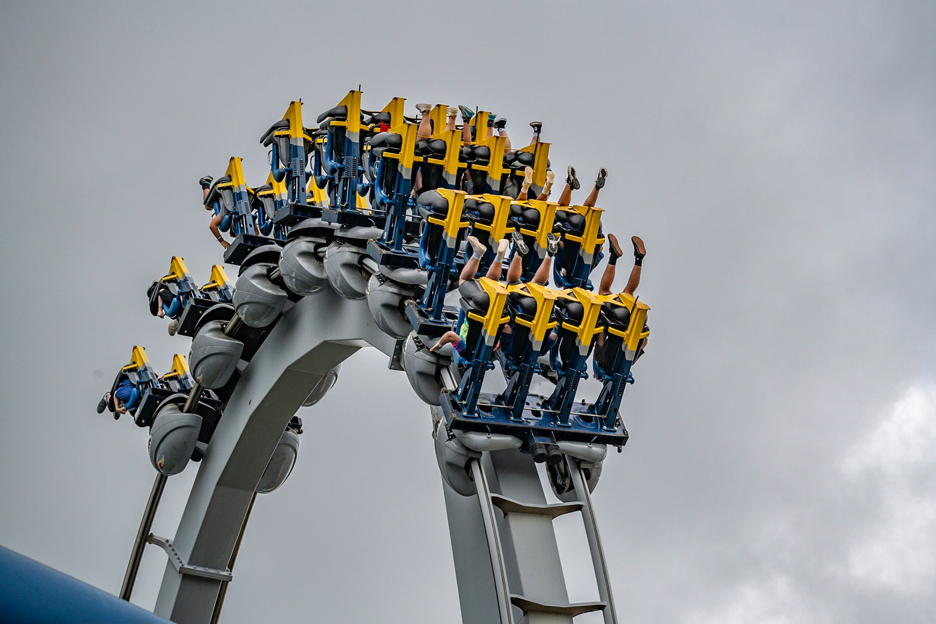 Photo by Jon Roost (www.jonroostphotos.com)