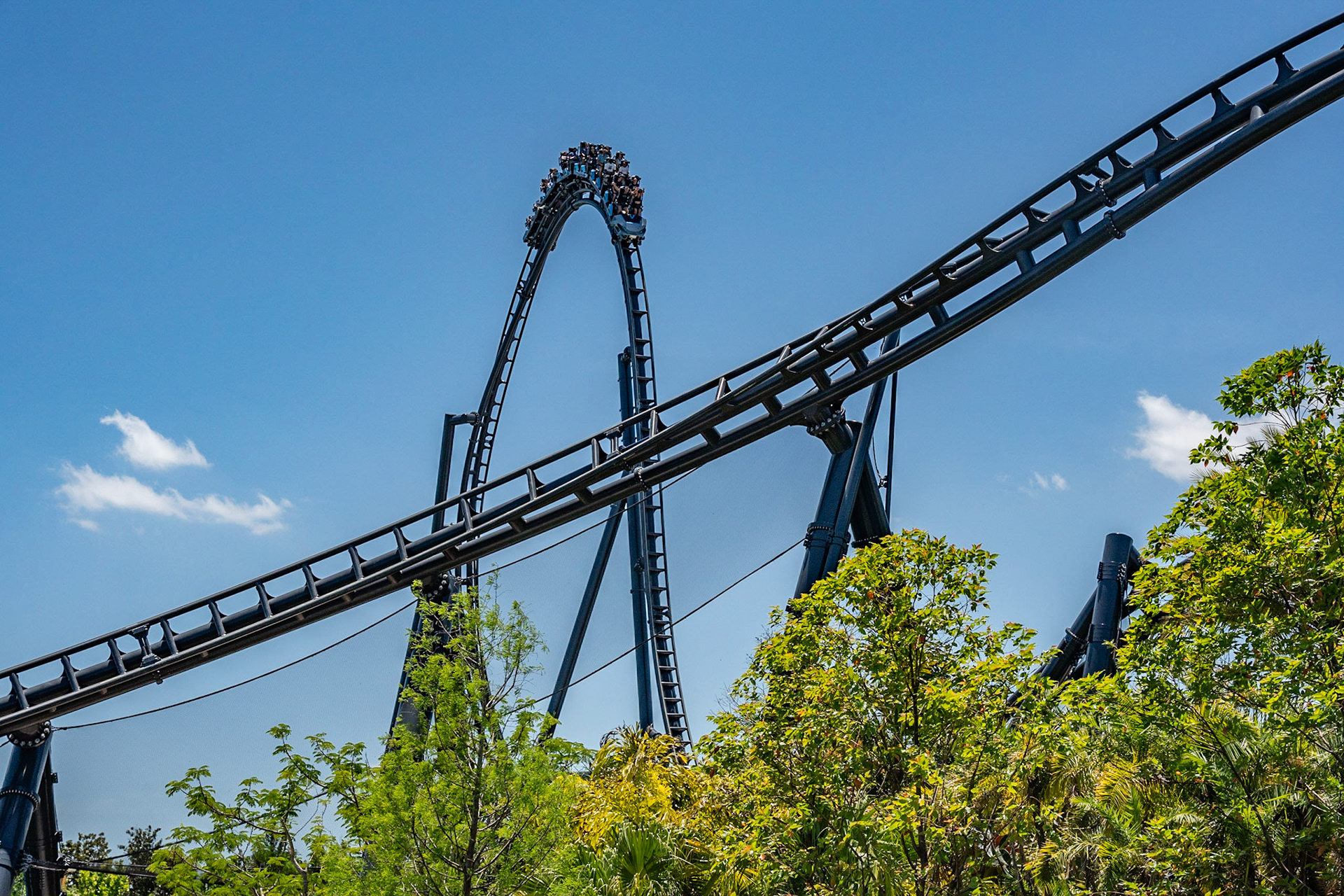 Photo by Jon Roost (www.jonroostphotos.com)