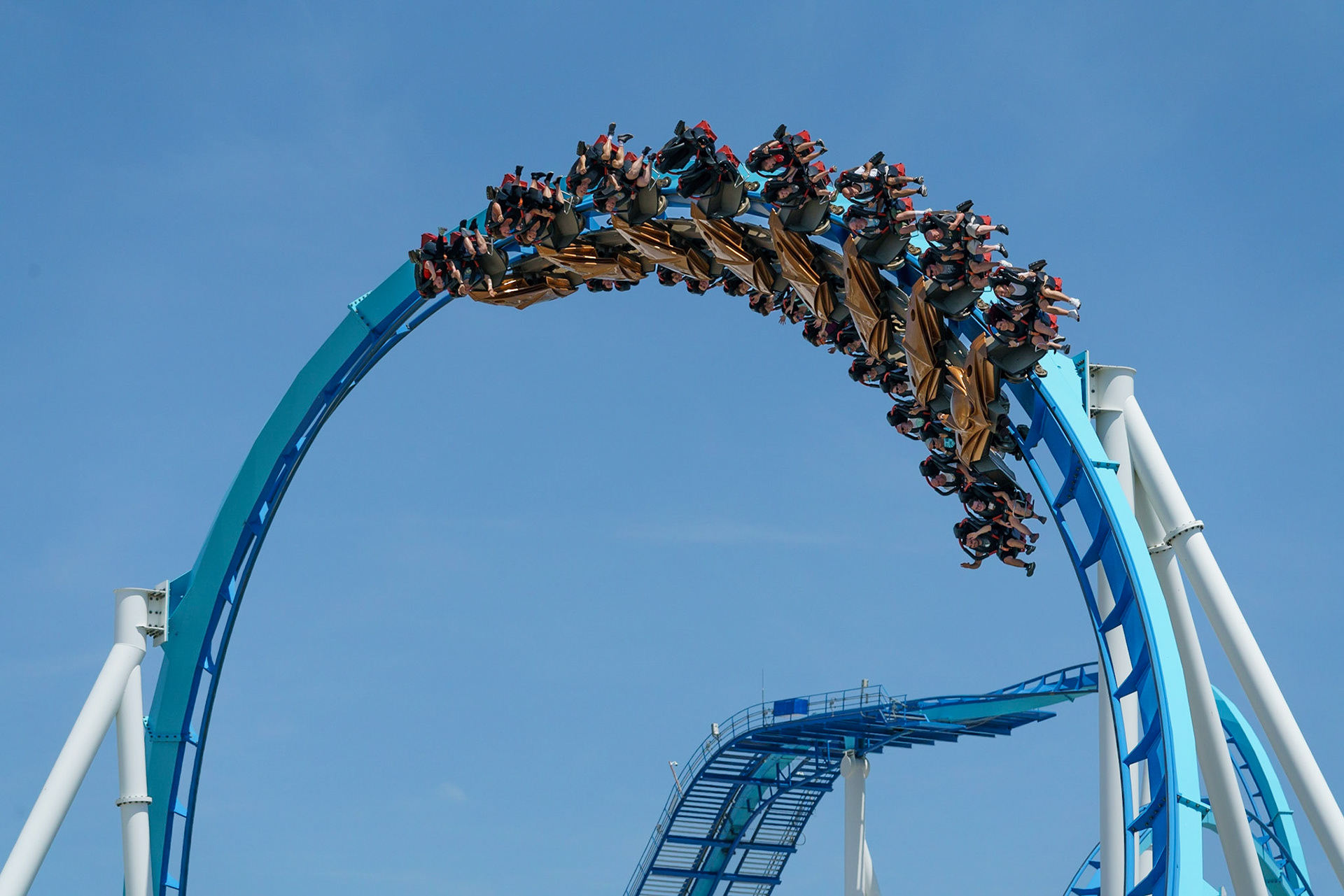 Photo by Jon Roost (www.jonroostphotos.com)