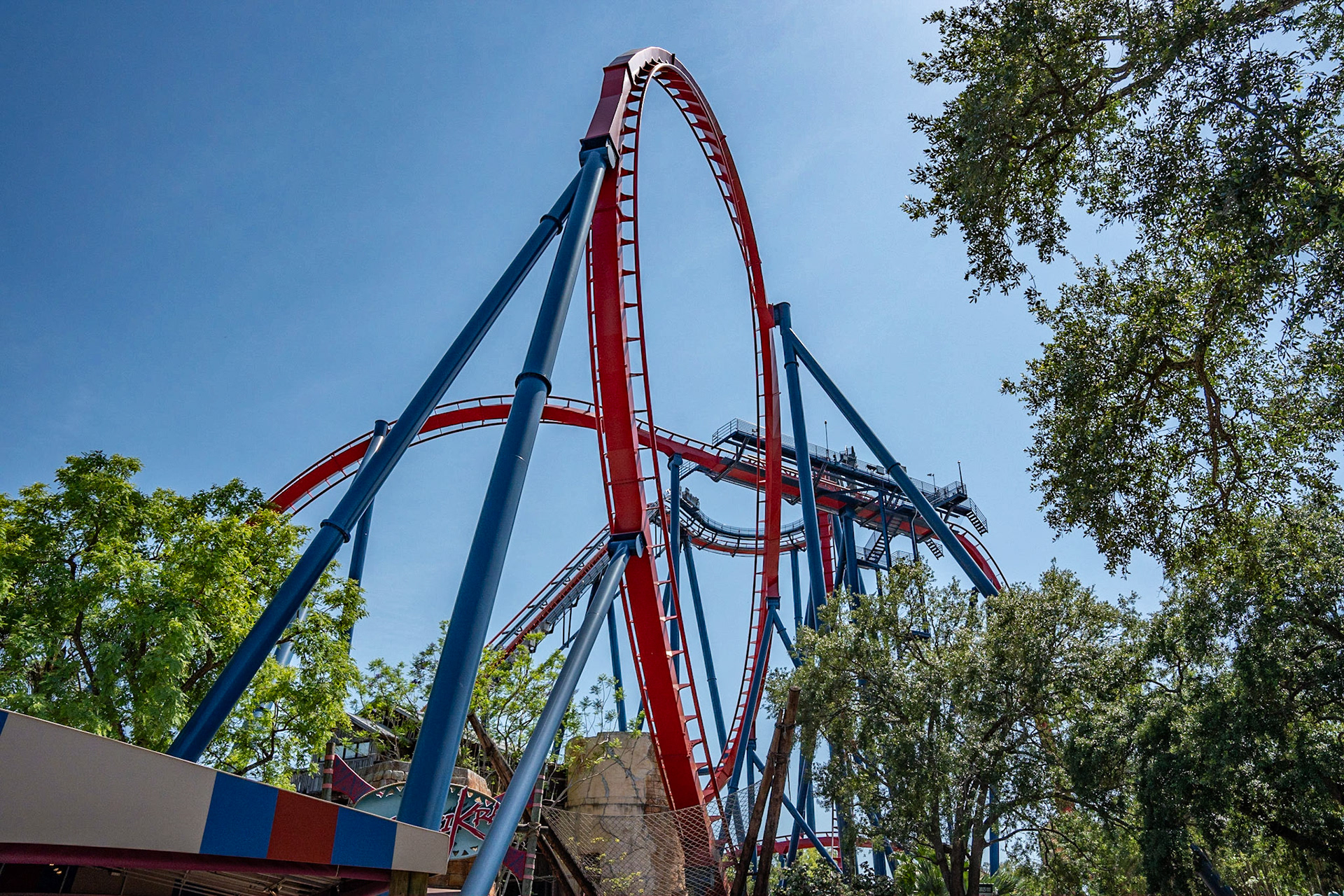 Photo by Jon Roost (www.jonroostphotos.com)