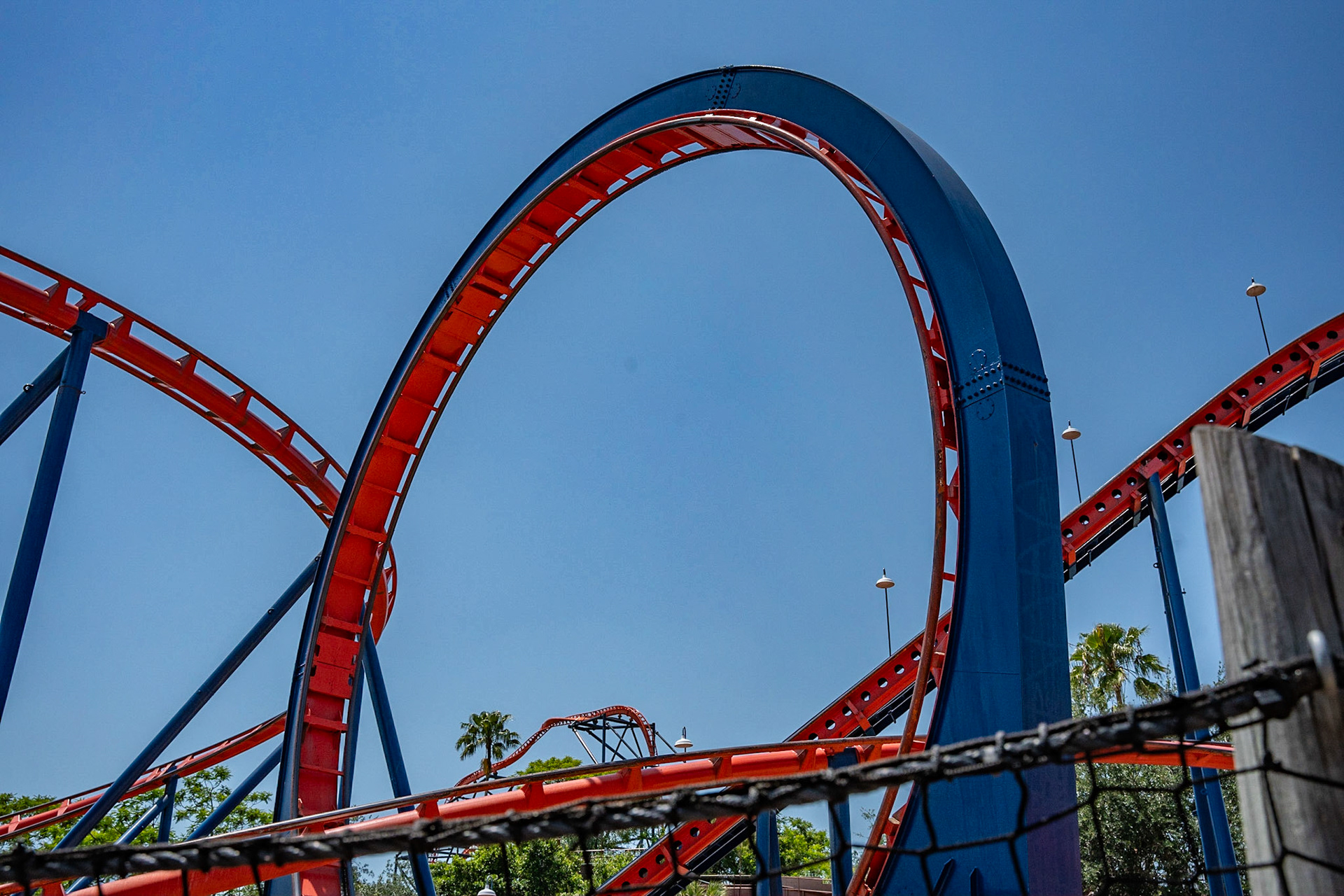 Photo by Jon Roost (www.jonroostphotos.com)