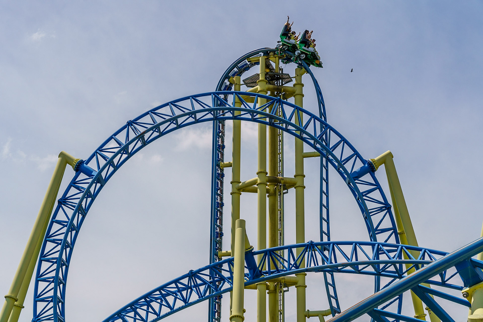 Photo by Jon Roost (www.jonroostphotos.com)