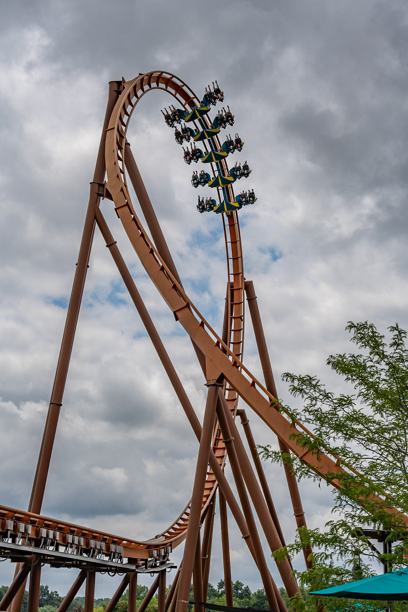 Photo by Jon Roost (www.jonroostphotos.com)