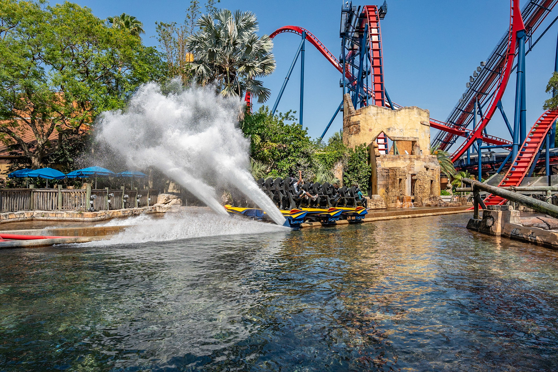 Photo by Jon Roost (www.jonroostphotos.com)