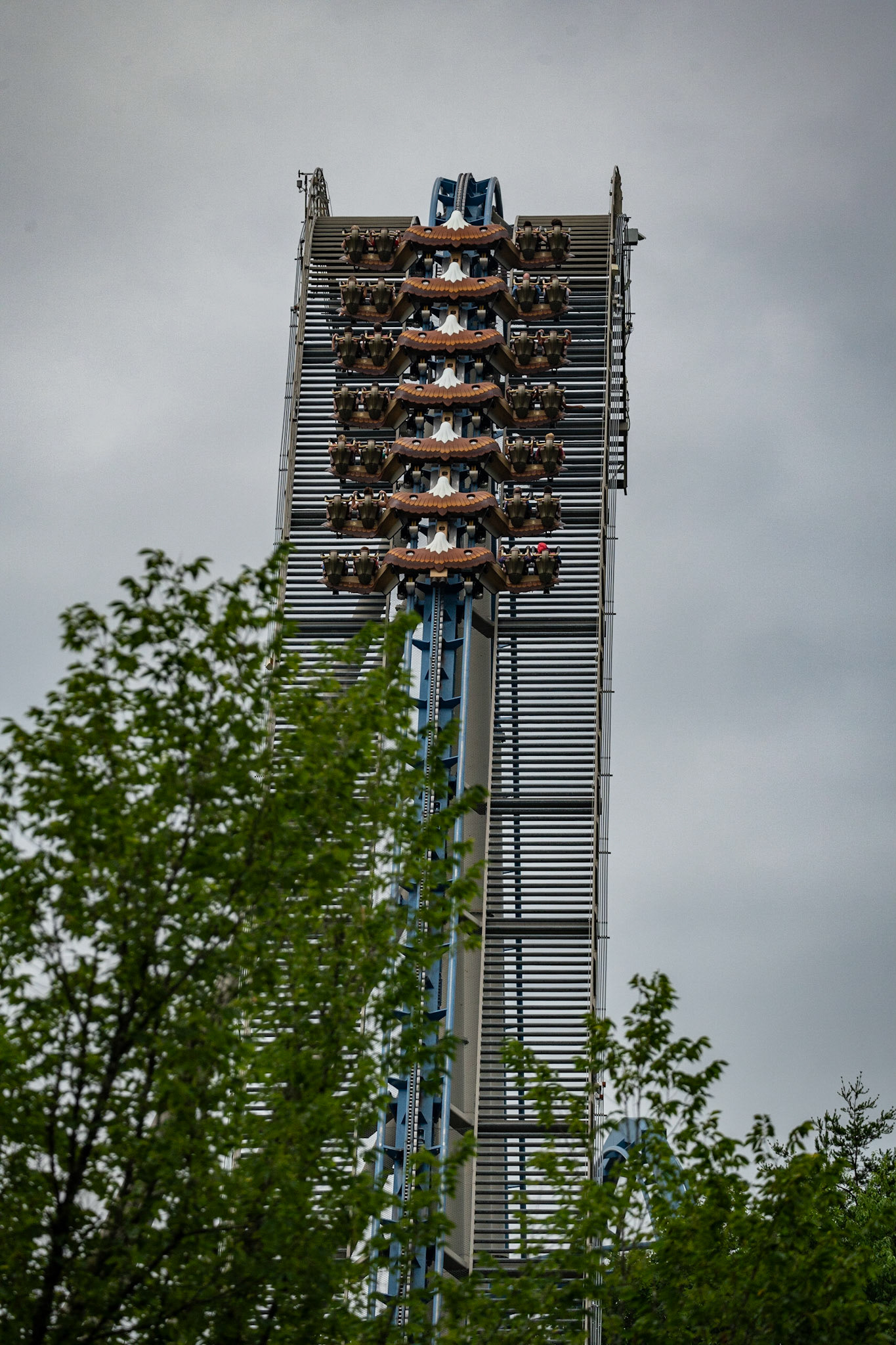 Photo by Jon Roost (www.jonroostphotos.com)