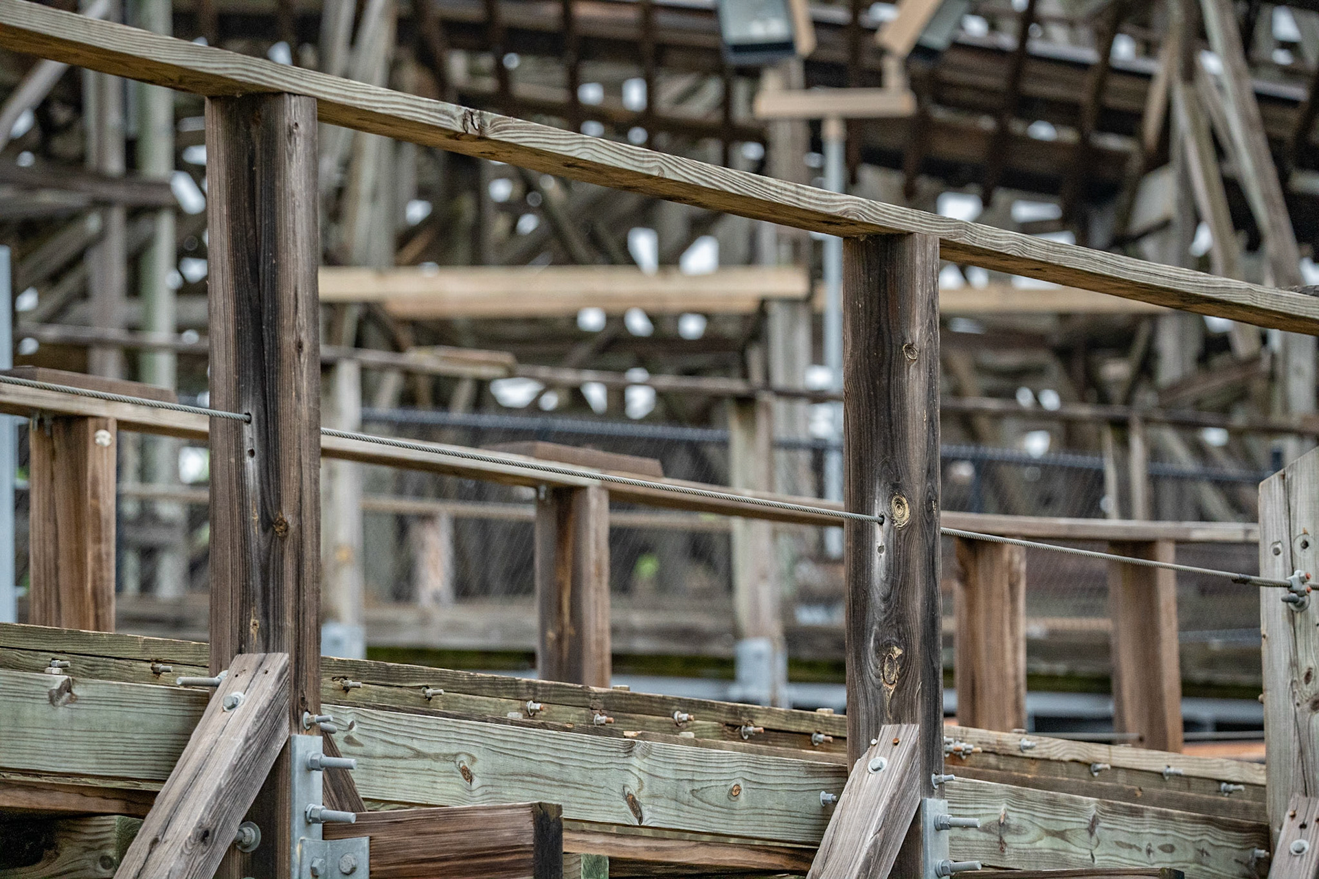 Photo by Jon Roost (www.jonroostphotos.com)