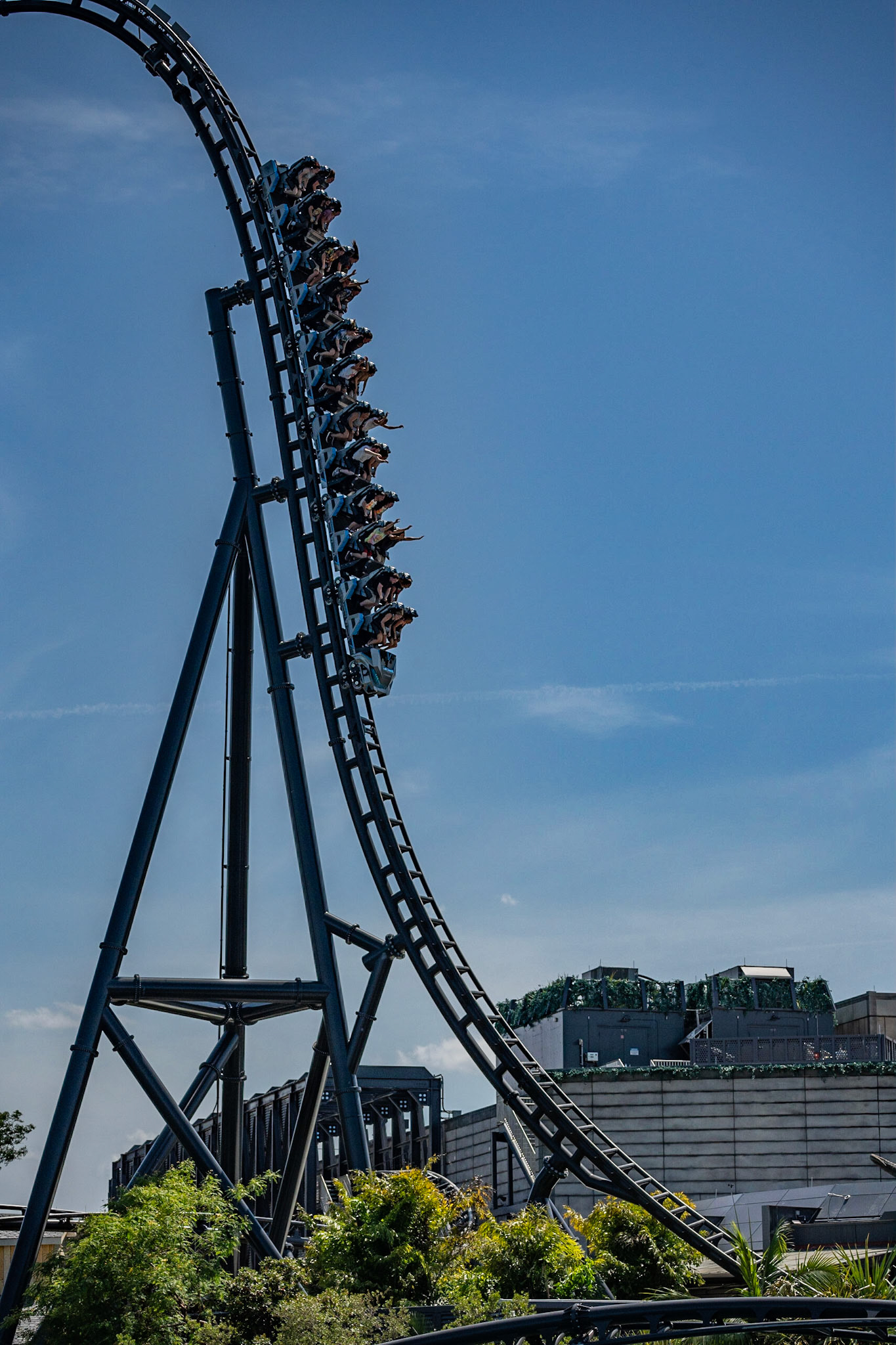 Photo by Jon Roost (www.jonroostphotos.com)