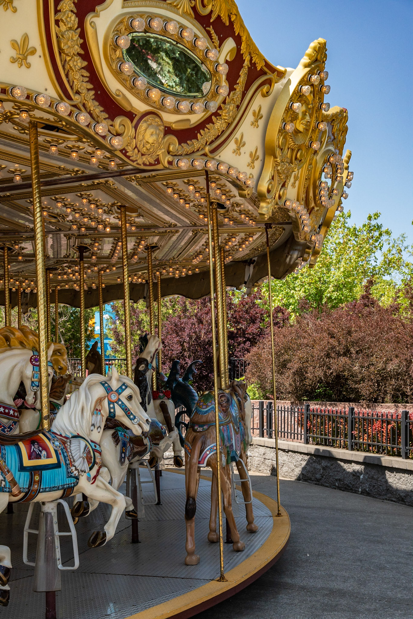 Photo by Jon Roost (www.jonroostphotos.com)