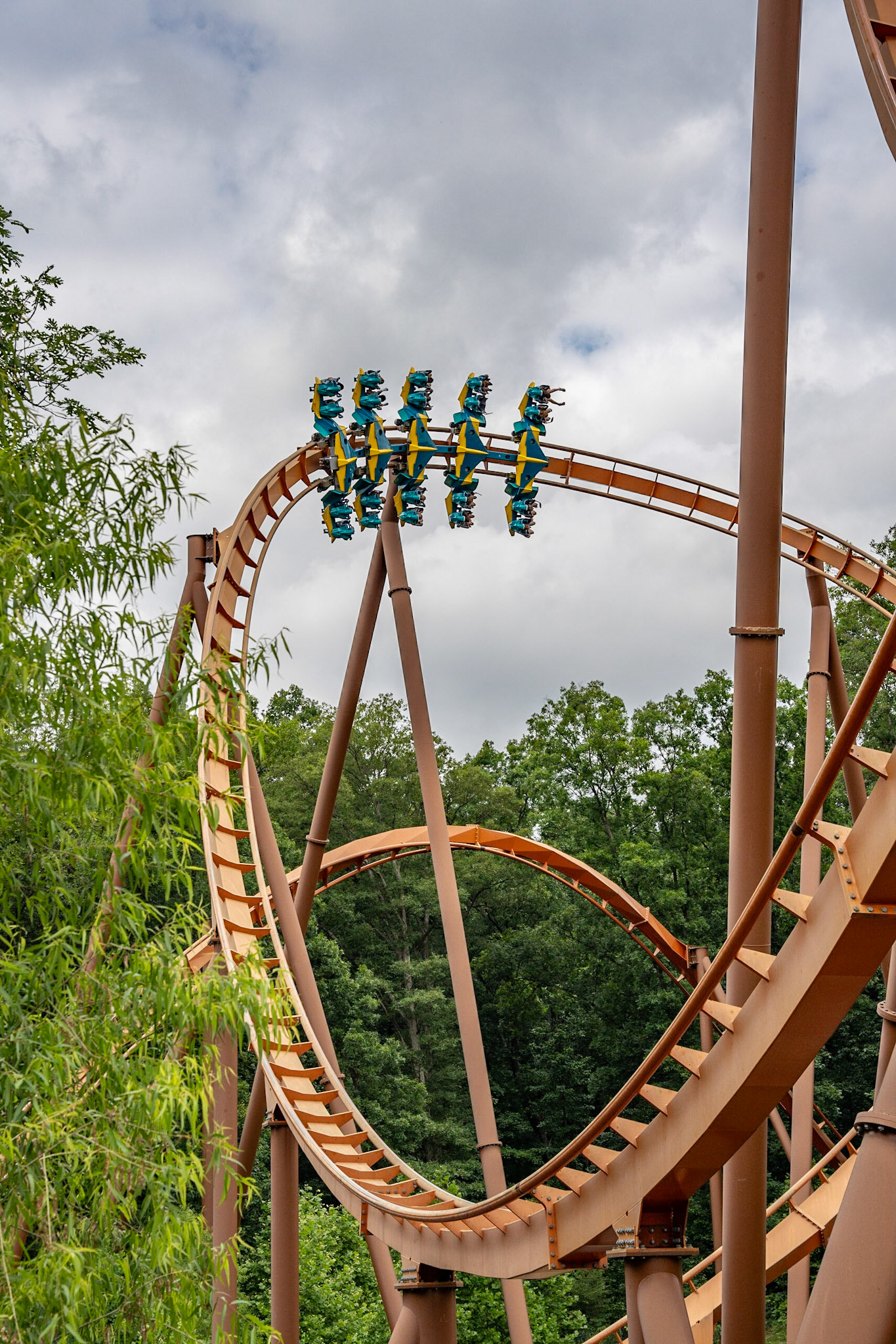 Photo by Jon Roost (www.jonroostphotos.com)