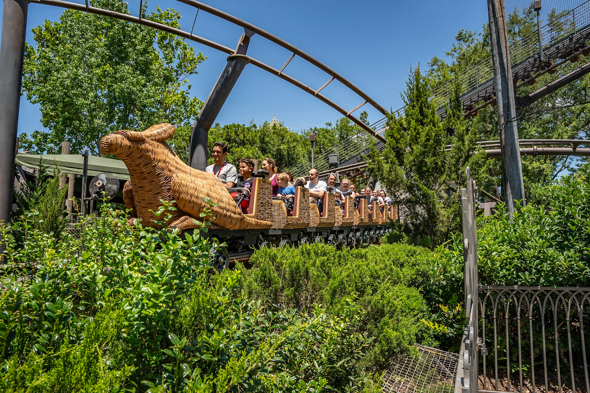 Photo by Jon Roost (www.jonroostphotos.com)