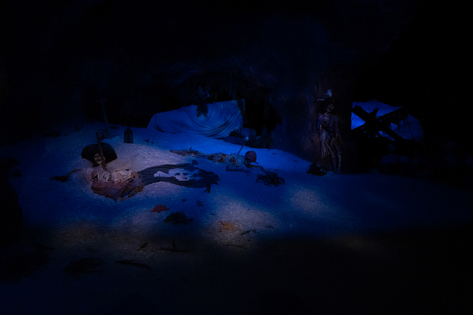 Photo by Jon Roost (www.jonroostphotos.com)