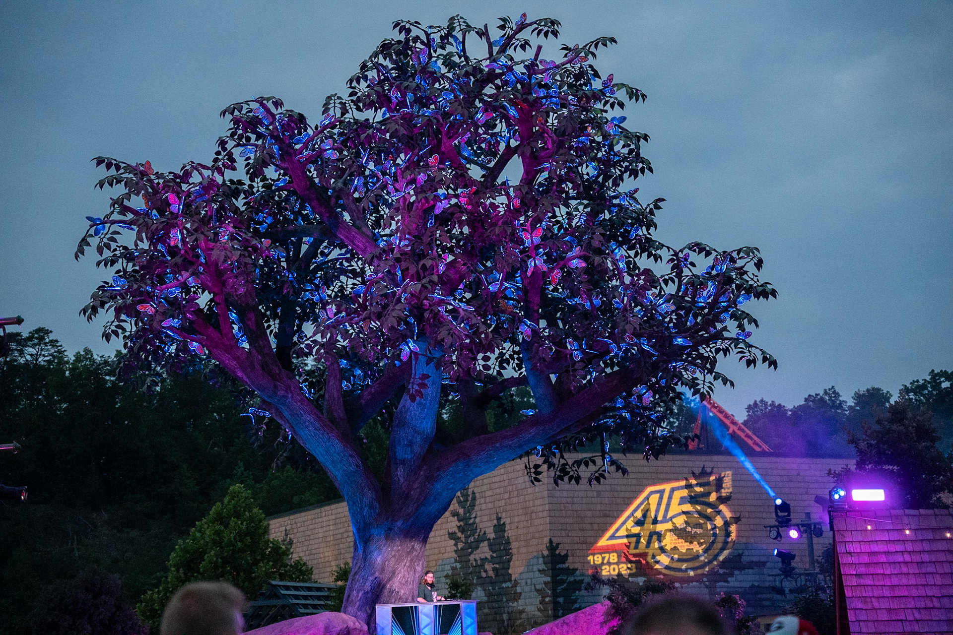 Photo by Jon Roost (www.jonroostphotos.com)