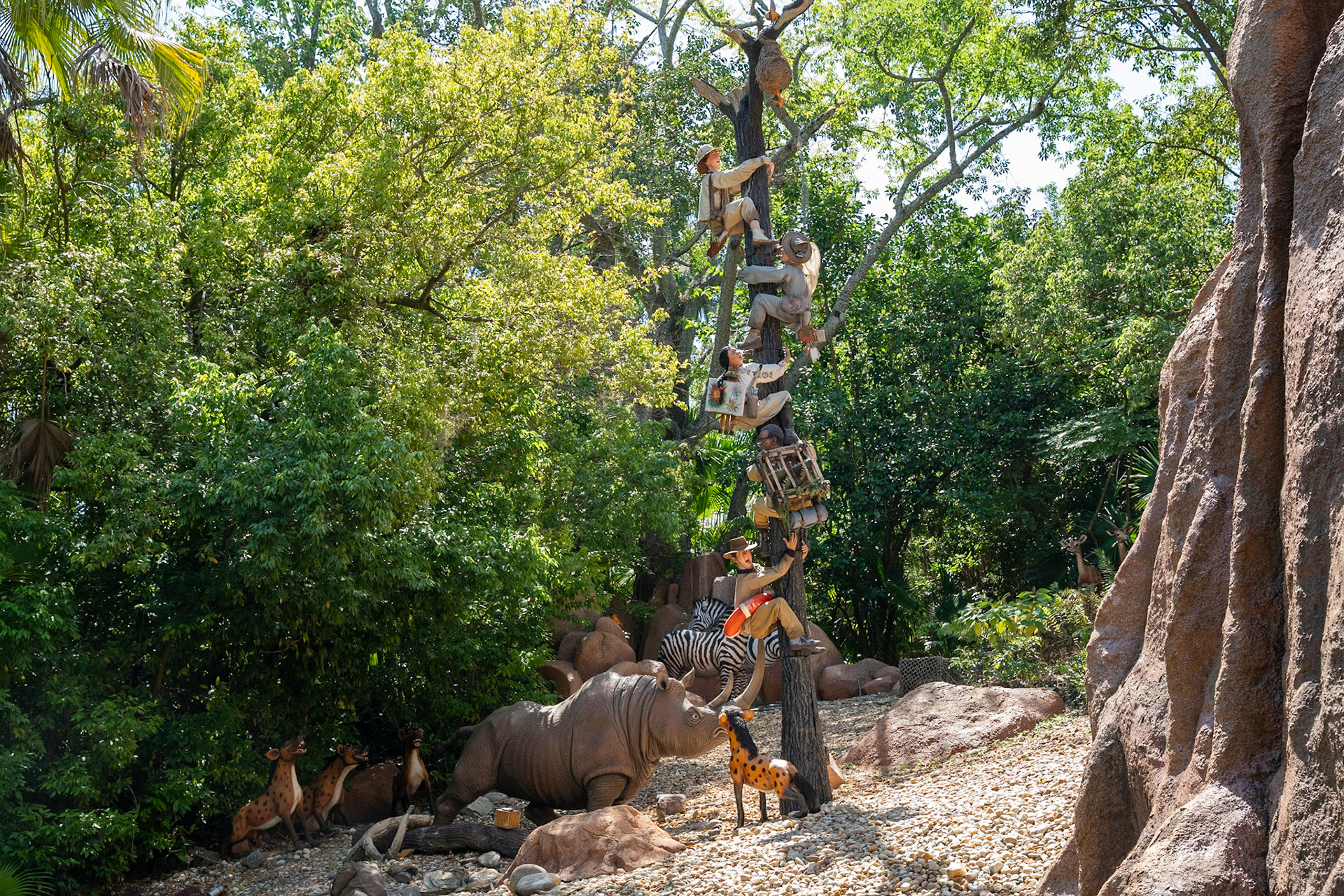 Photo by Jon Roost (www.jonroostphotos.com)