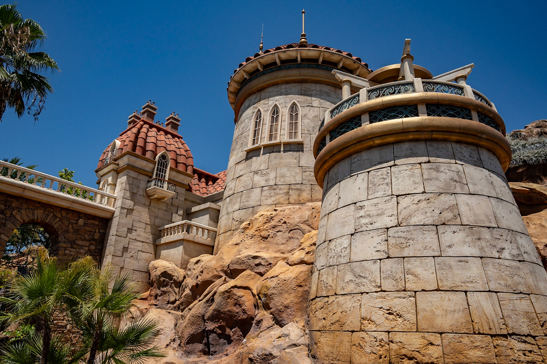 Photo by Jon Roost (www.jonroostphotos.com)