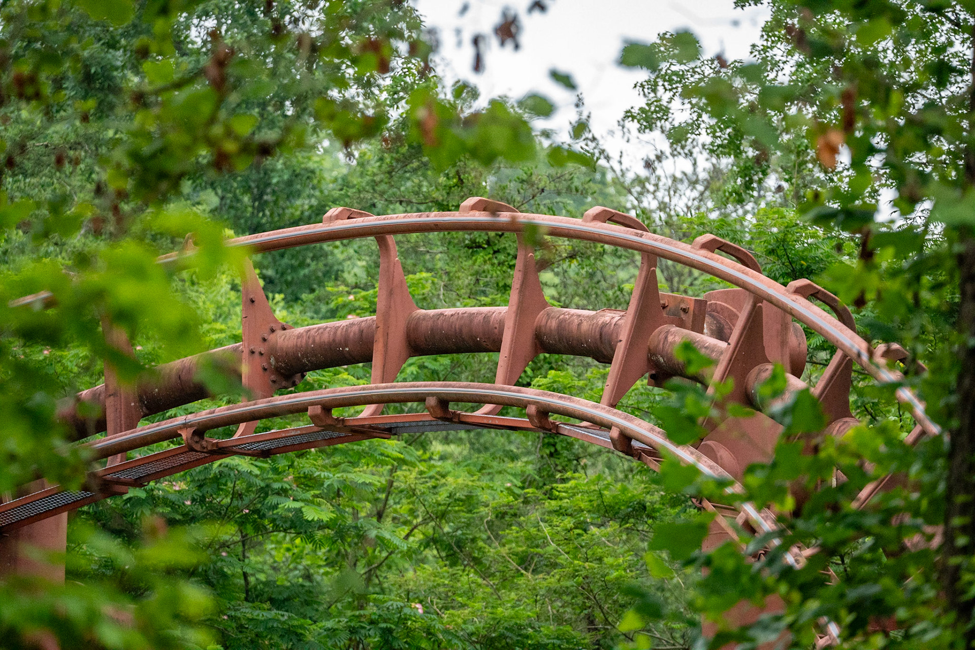 Photo by Jon Roost (www.jonroostphotos.com)