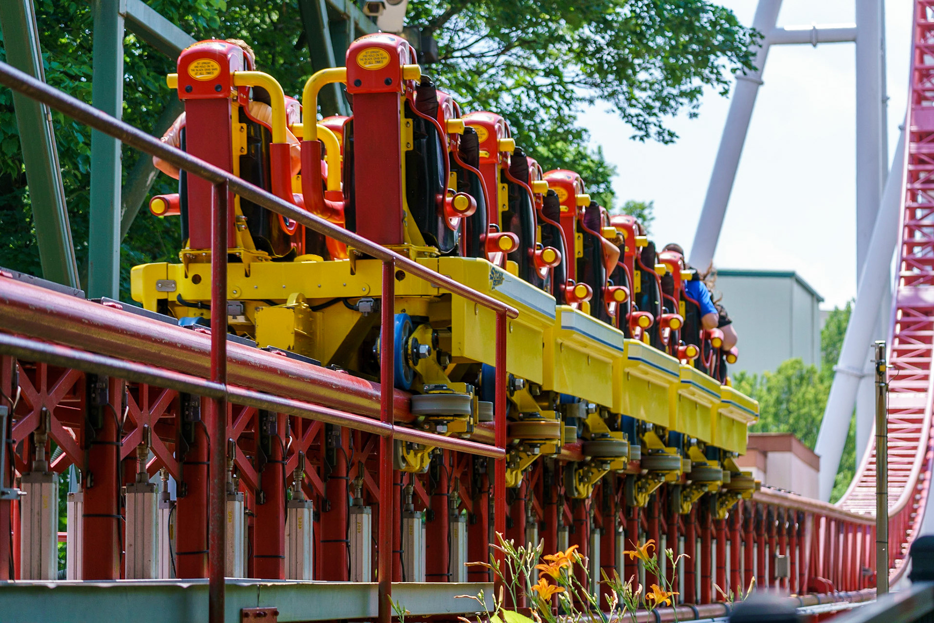 Photo by Jon Roost (www.jonroostphotos.com)