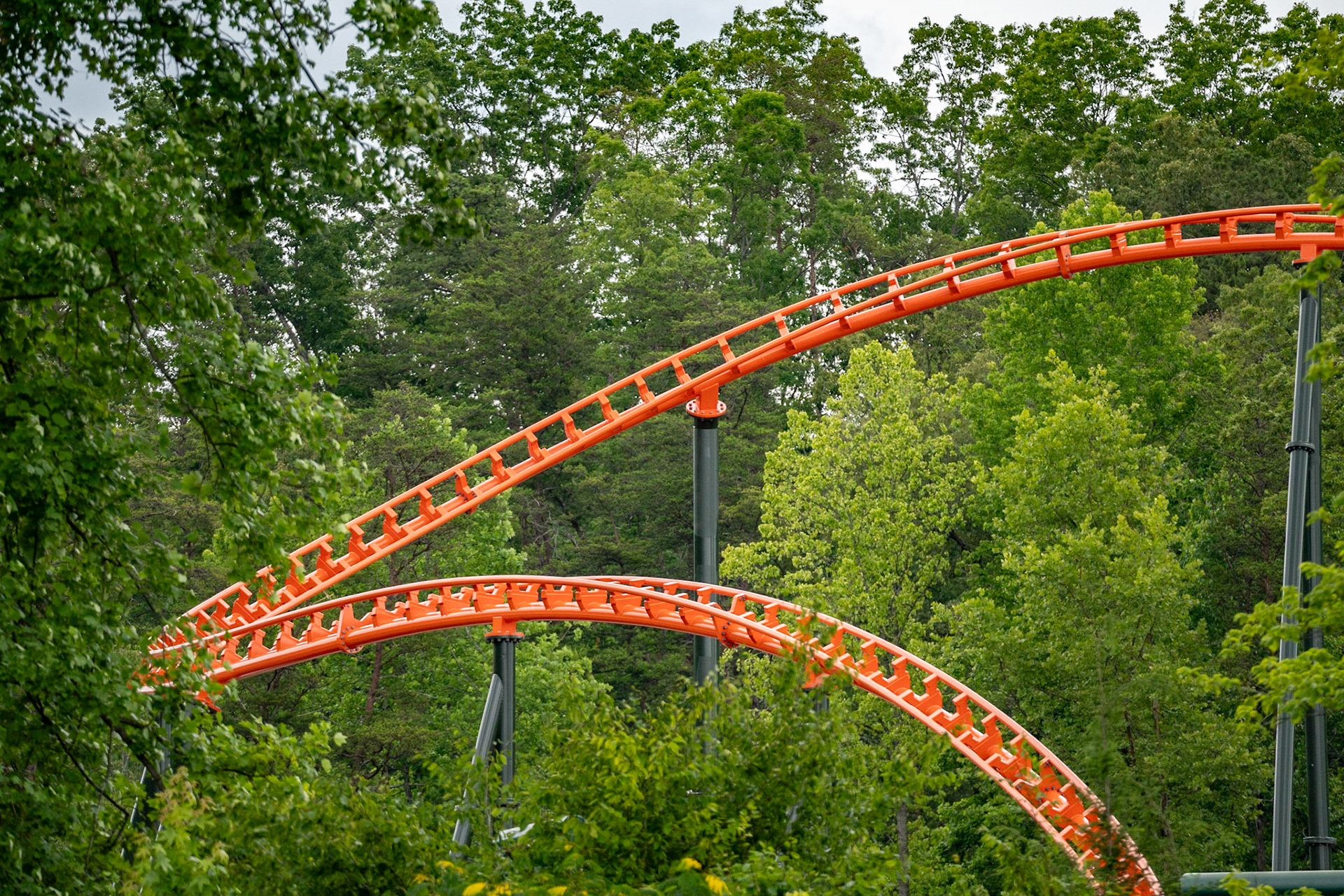 Photo by Jon Roost (www.jonroostphotos.com)