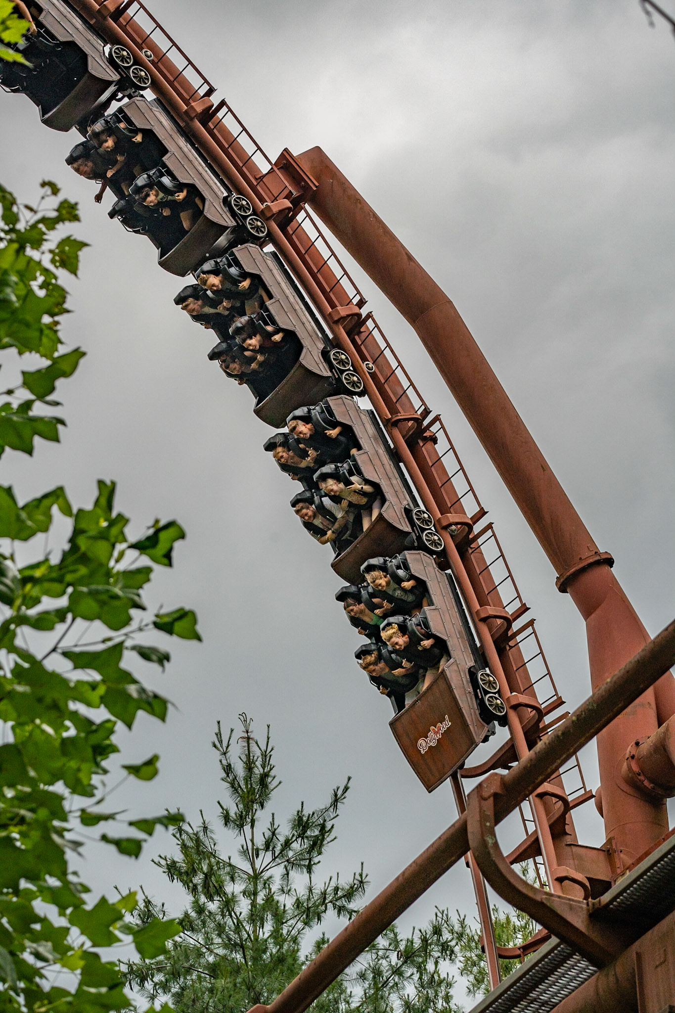 Photo by Jon Roost (www.jonroostphotos.com)