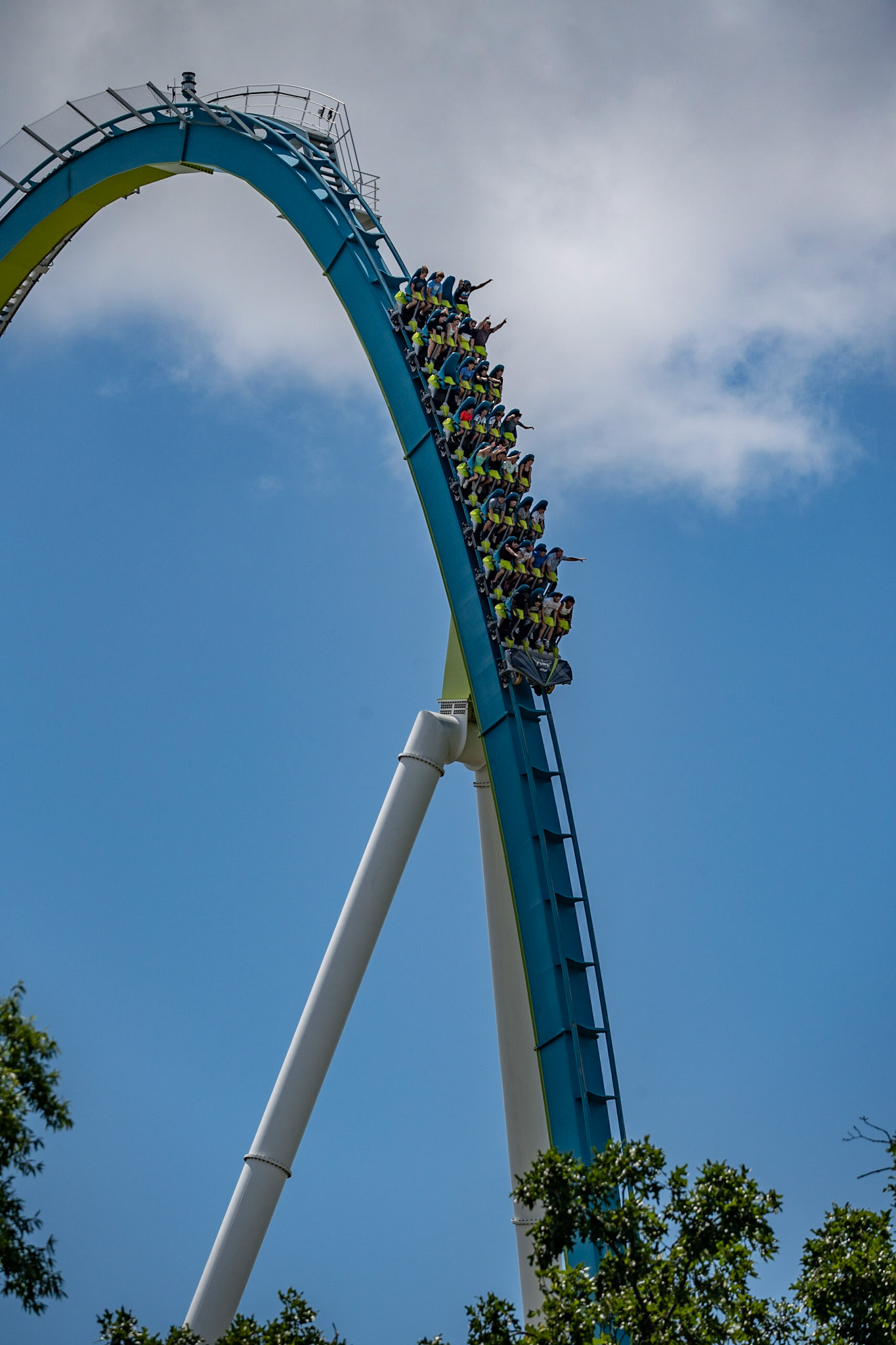 Photo by Jon Roost (www.jonroostphotos.com)