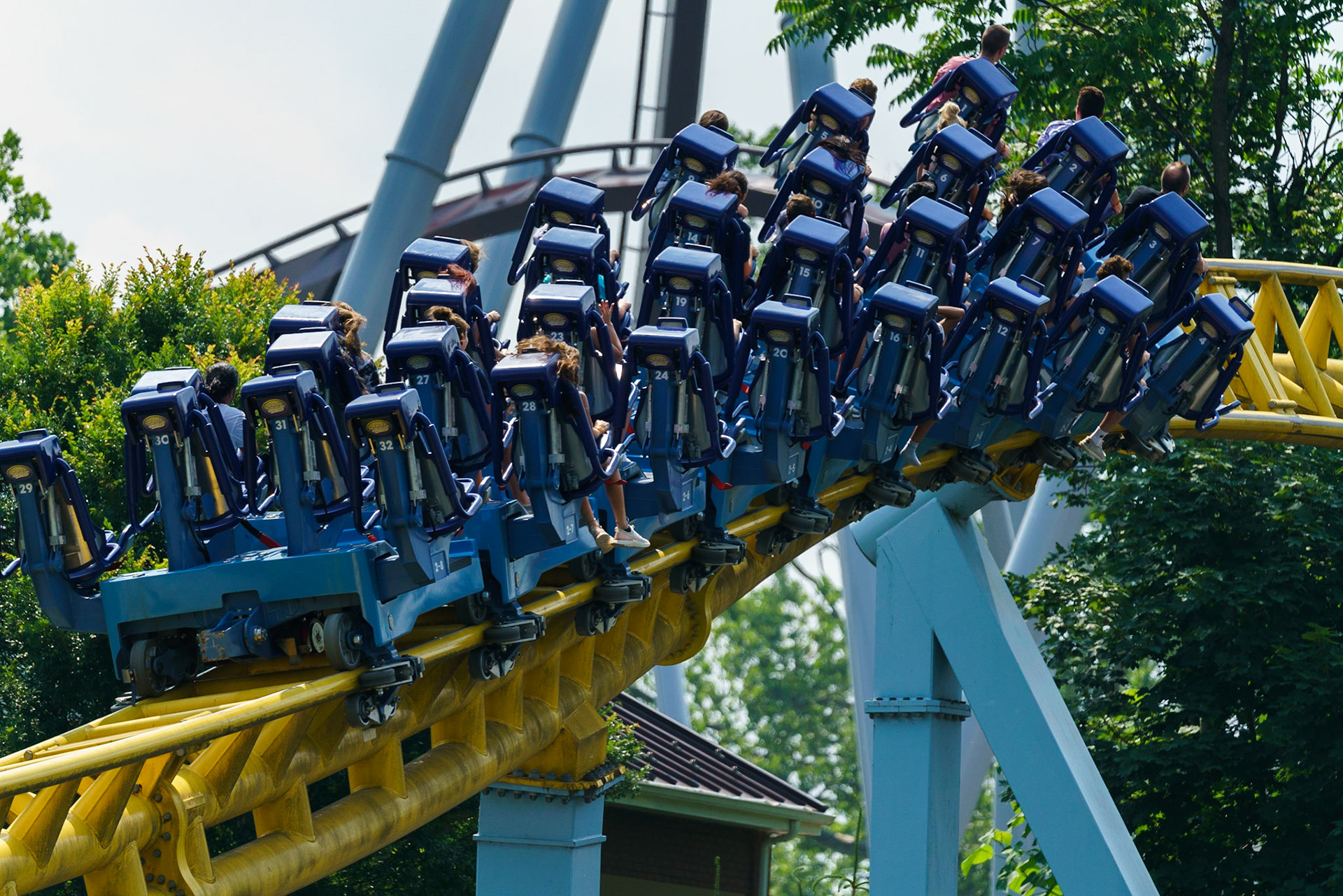 Photo by Jon Roost (www.jonroostphotos.com)