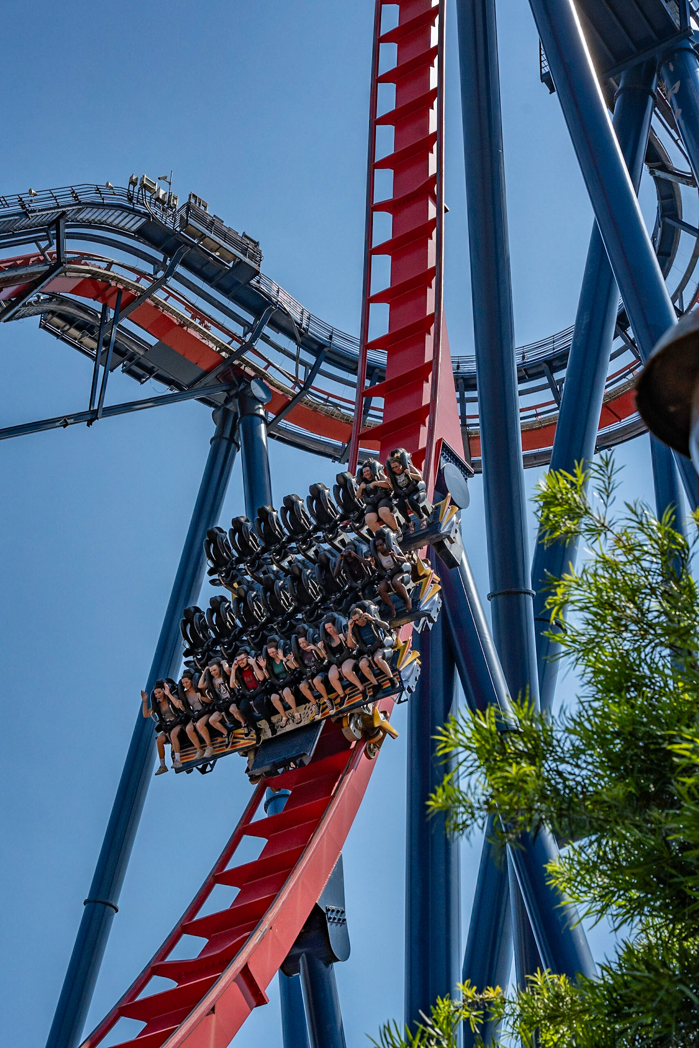 Photo by Jon Roost (www.jonroostphotos.com)