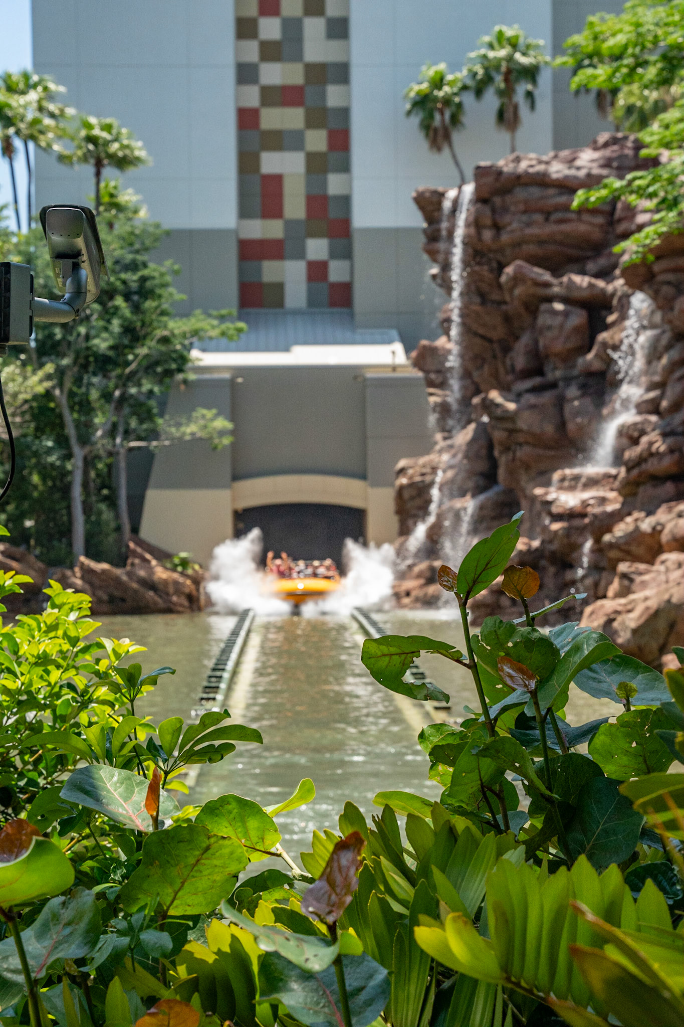 Photo by Jon Roost (www.jonroostphotos.com)