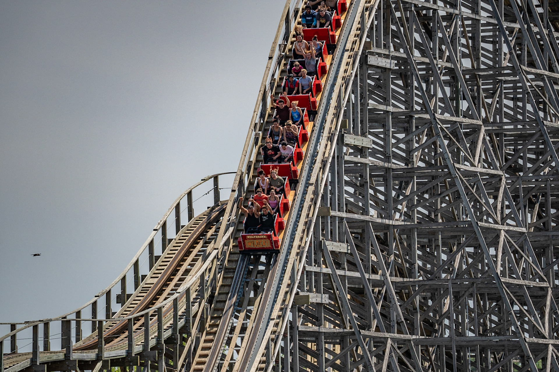 Photo by Jon Roost (www.jonroostphotos.com)