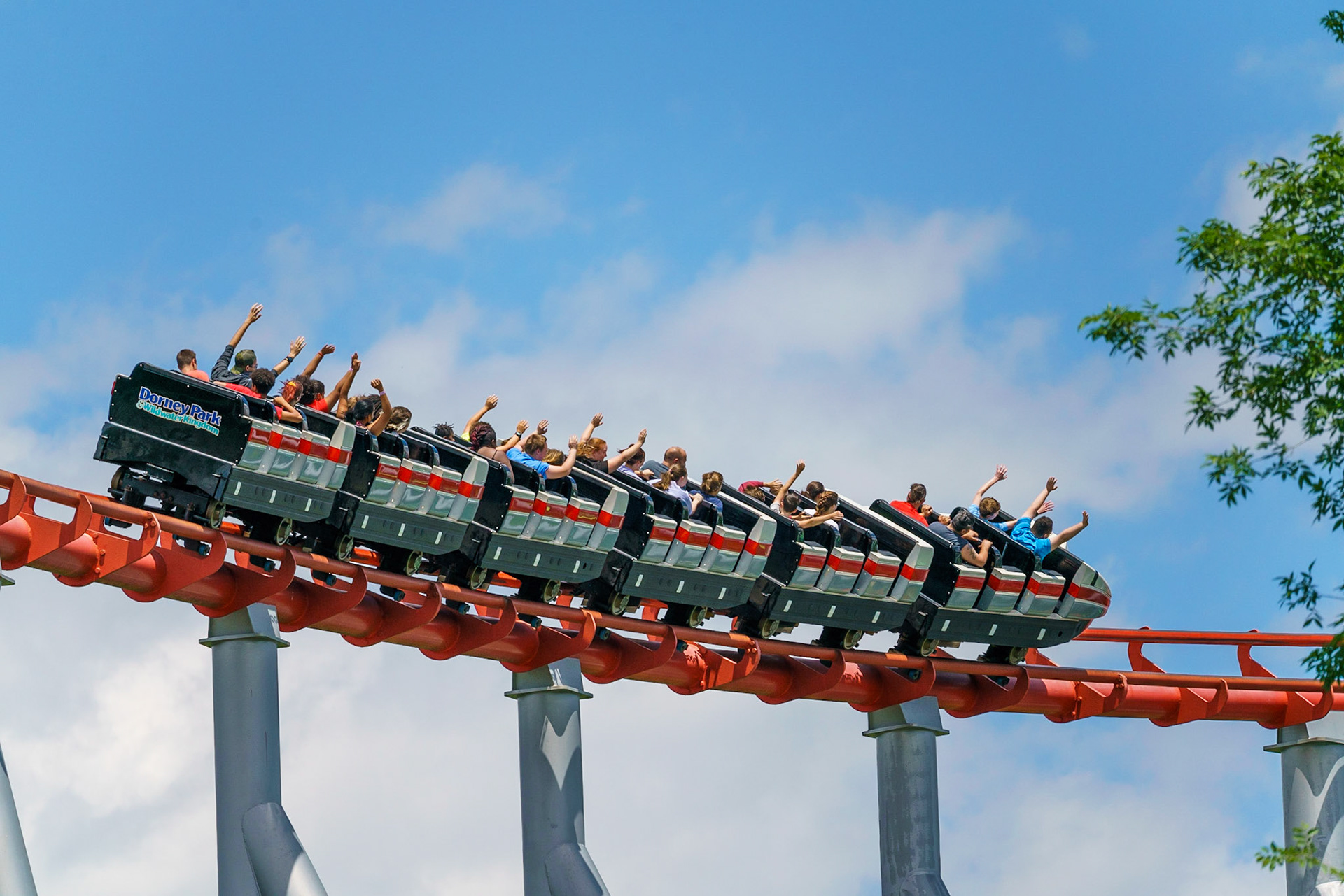 Photo by Jon Roost (www.jonroostphotos.com)