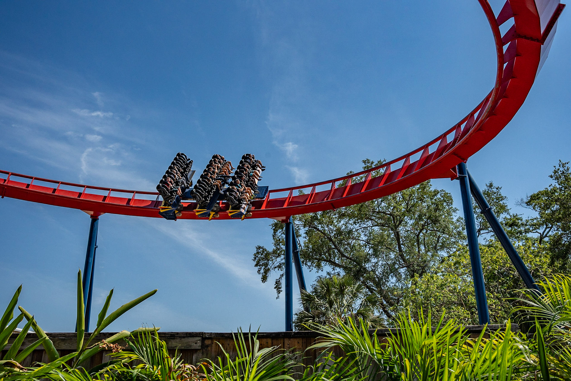 Photo by Jon Roost (www.jonroostphotos.com)